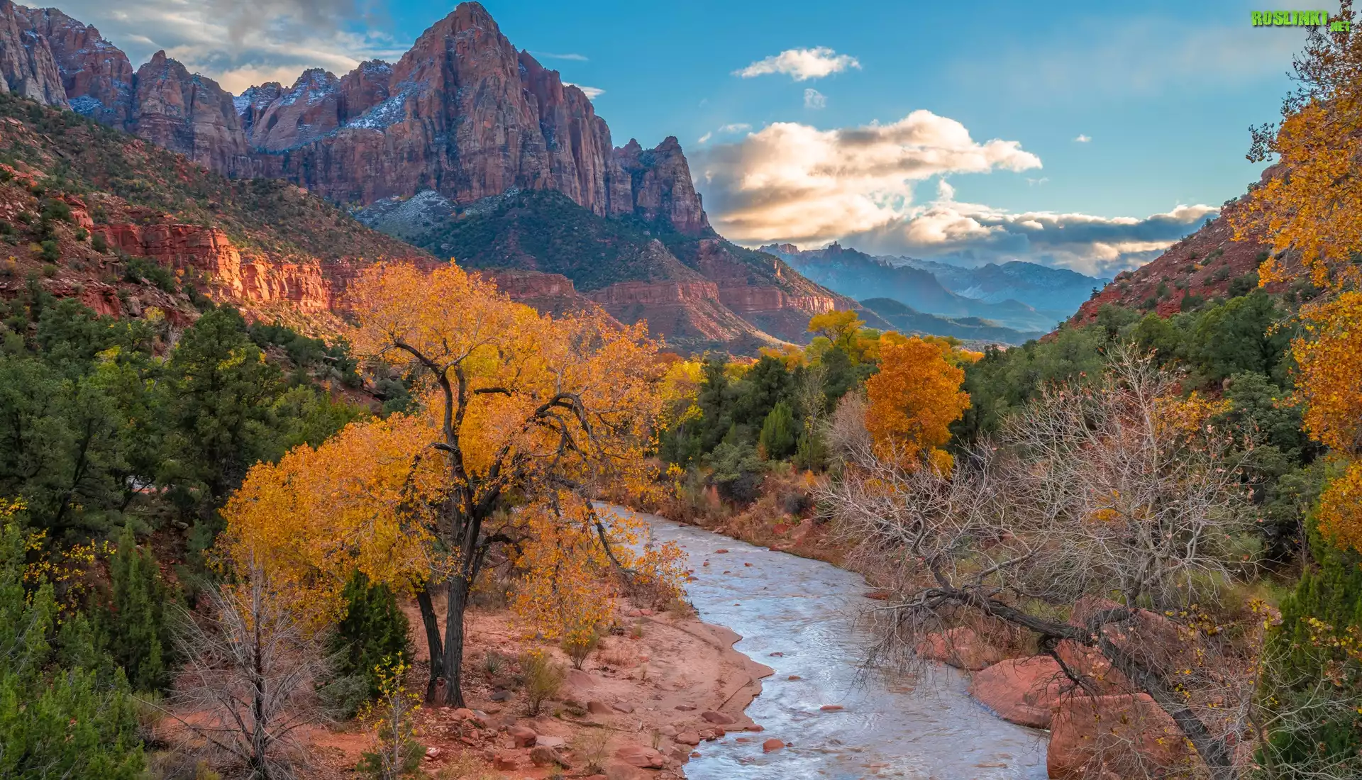 Stany Zjednoczone, Stan Utah, Park Narodowy Zion, Góry Watchman, Rzeka, Virgin River, Kamienie, Drzewa, Jesień