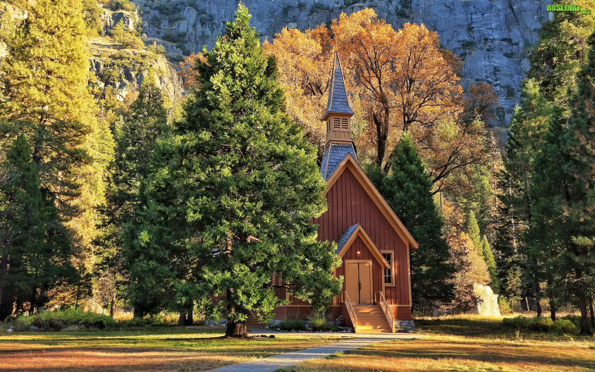 Stany Zjednoczone, Kalifornia, Park Narodowy Yosemite, Drzewa, Kaplica, Kościółek