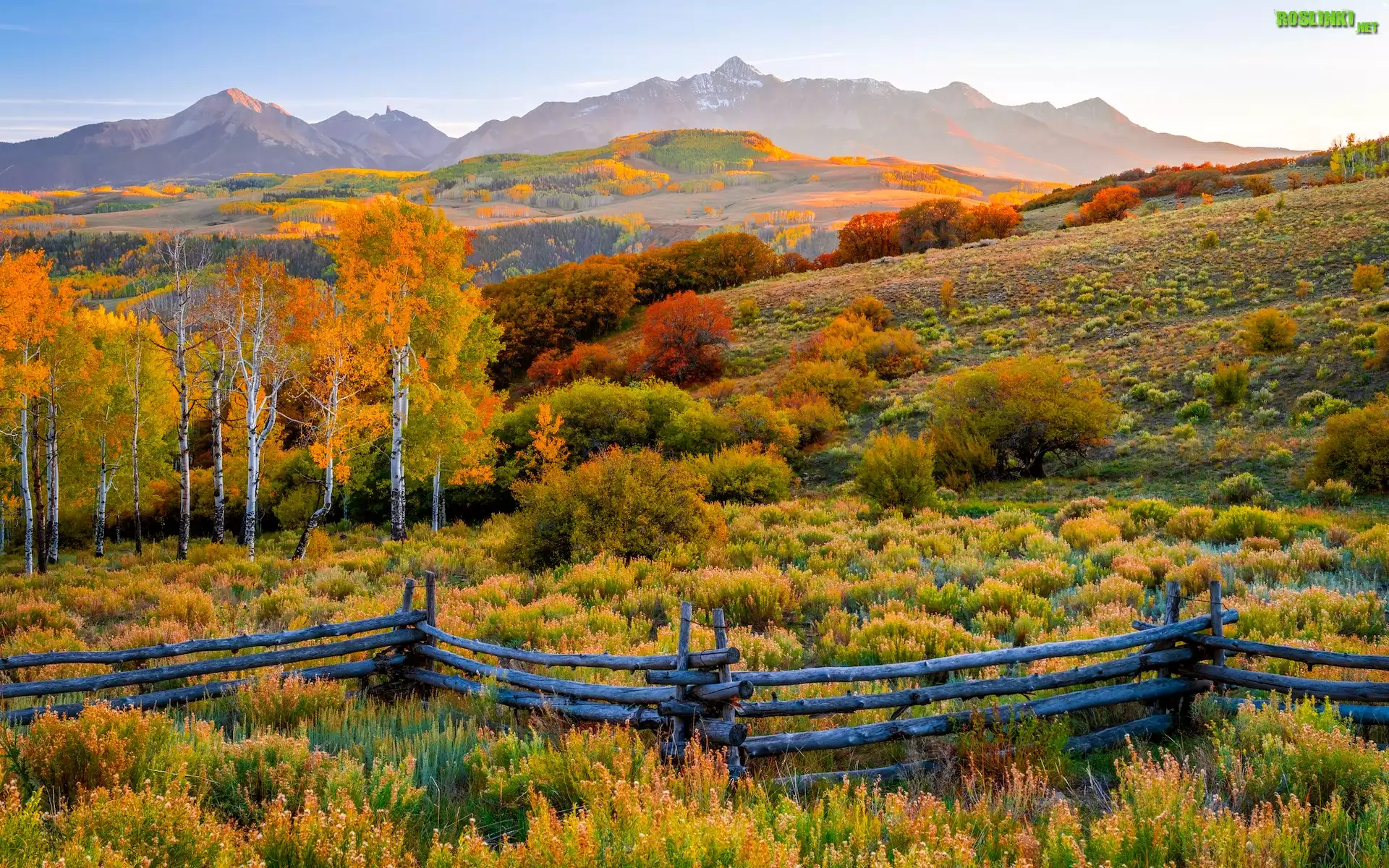 Stany Zjednoczone, Stan Kolorado, Telluride, Jesień, Góry, San Juan Mountains, Kolorowe, Drzewa, Ogrodzenie