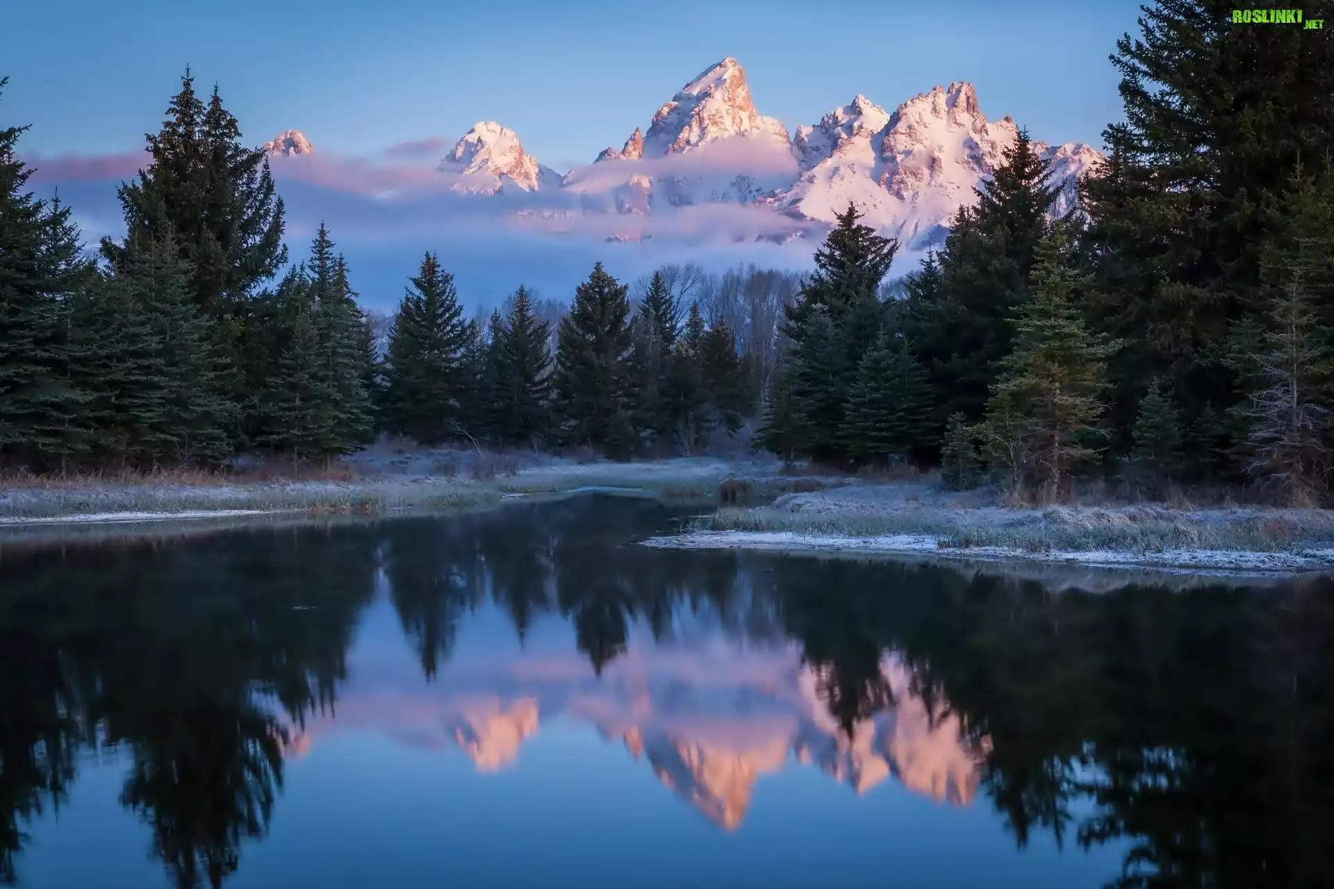 Stany Zjednoczone, Stan Wyoming, Park Narodowy Grand Teton, Rzeka Snake River, Góry Teton Range, Drzewa