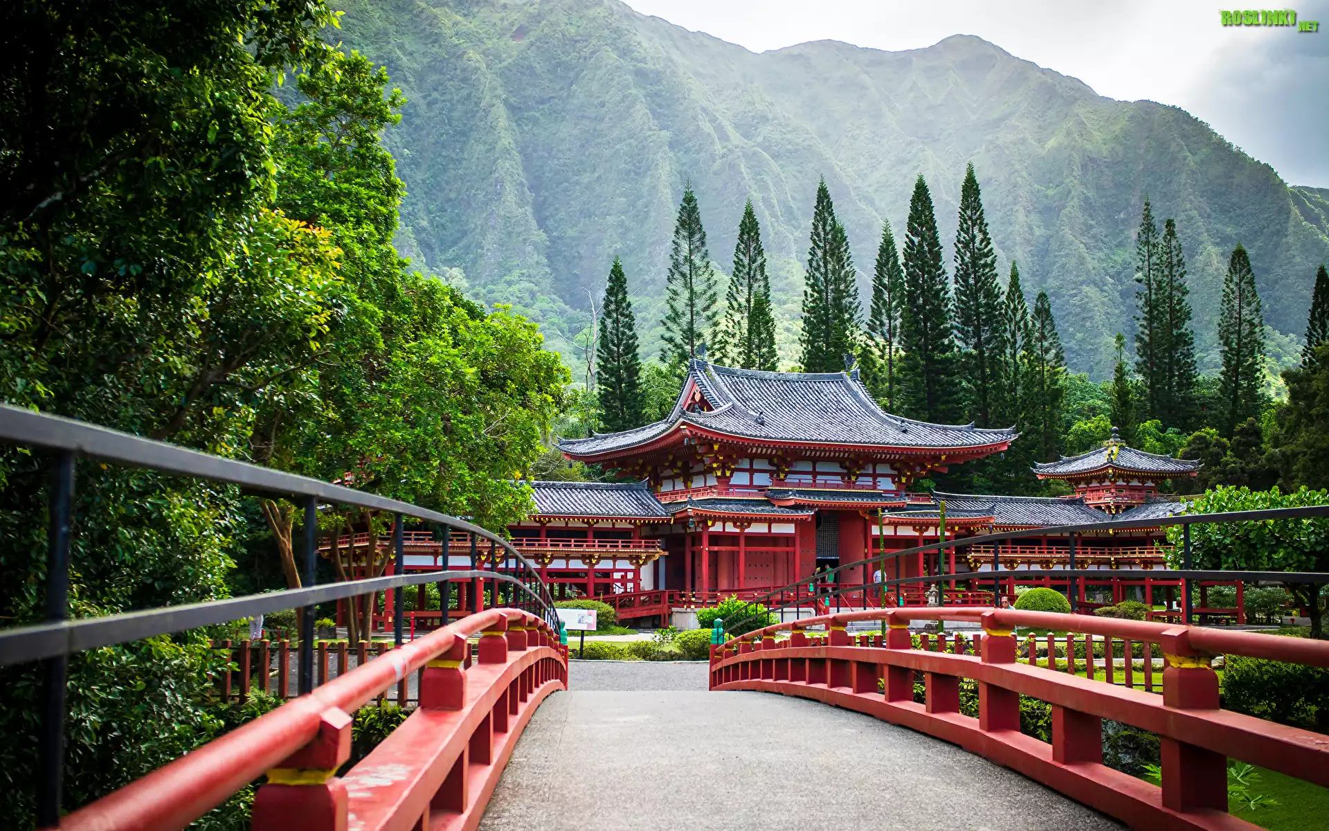 Stany Zjednoczone, Hawaje, Wyspa Oahu, Most, Budowla, Świątynia, Byodo-In, Replika, Drzewa, Góry