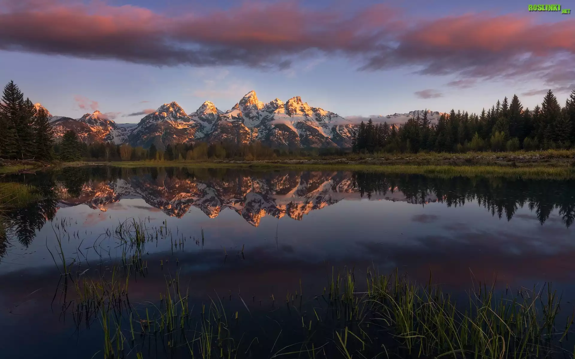 Stany Zjednoczone, Stan Wyoming, Park Narodowy Grand Teton, Ośnieżone, Góry Skaliste, Szczyt Grand Teton, Las, Drzewa, Jezioro, Odbicie