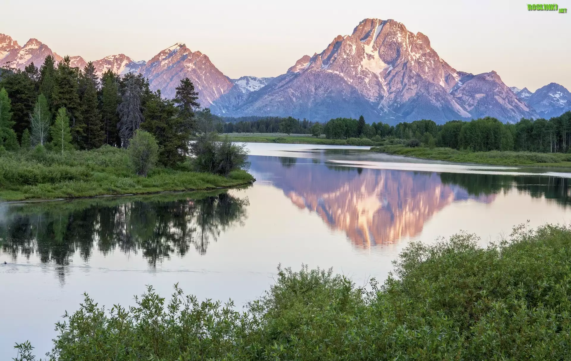 Stany Zjednoczone, Stan Wyoming, Park Narodowy Grand Teton, Góry, Szczyt Mount Moran, Drzewa, Las, Rzeka Snake River, Odbicie
