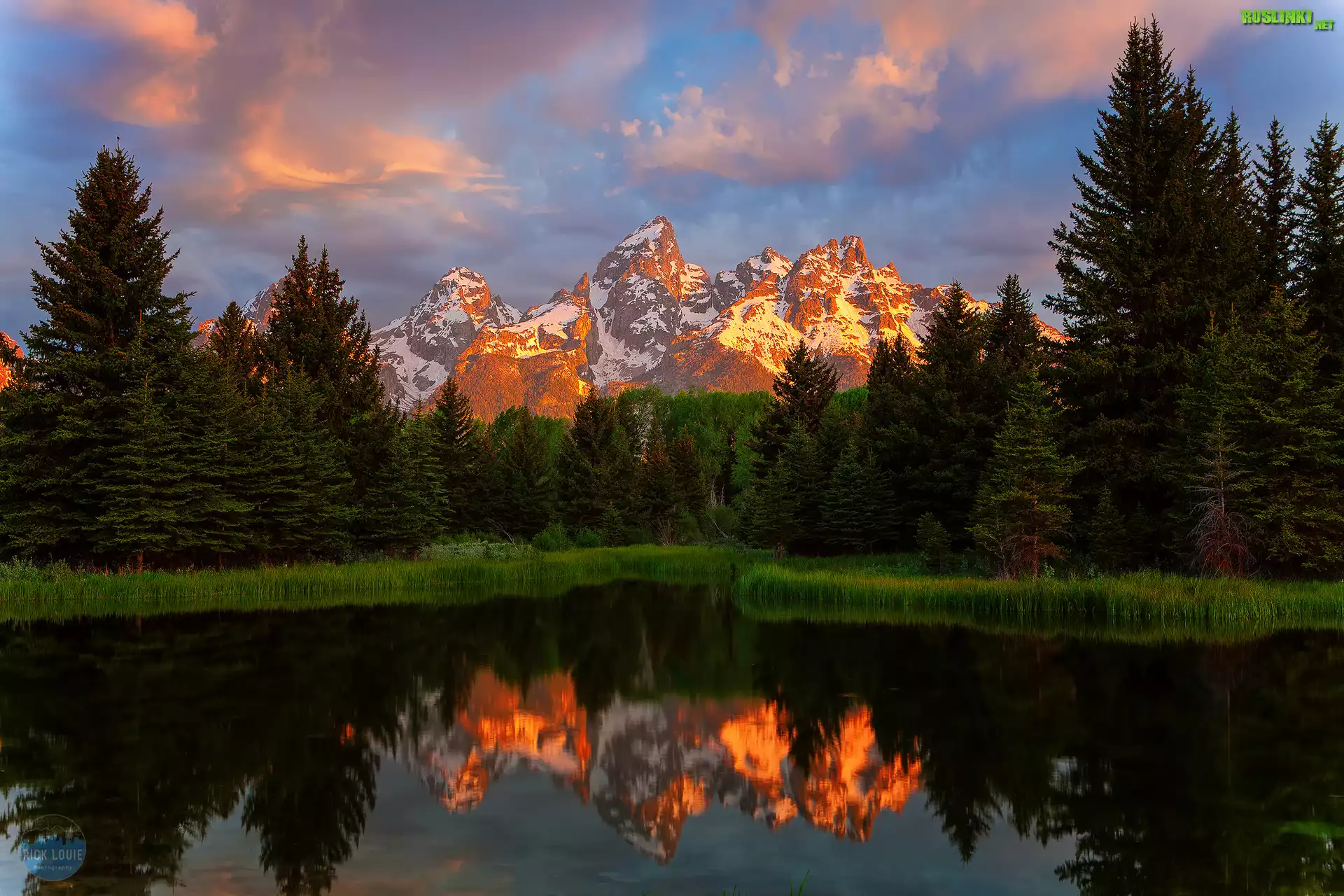 Stany Zjednoczone, Stan Wyoming, Park Narodowy Grand Teton, Rzeka Snake River, Góry Teton Range, Odbicie, Drzewa, Zachód słońca