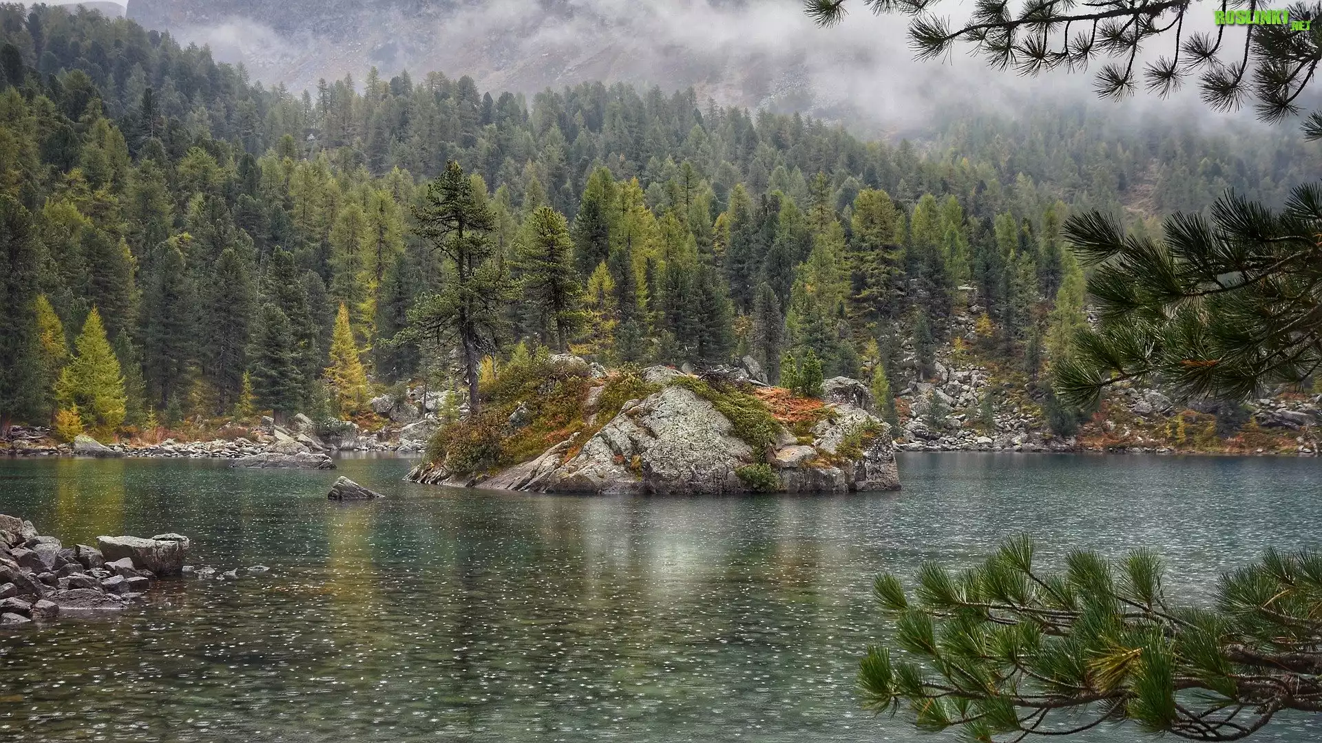 Jezioro Bergsee, Skała, Wysepka, Drzewa, Las, Kanton Berno, Szwajcaria