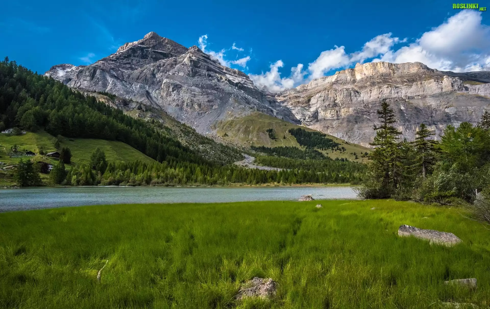 Szwajcaria, Kanton Valais, Alpy Berneńskie, Pasmo Les Diablerets, Jezioro Lac de Derborence, Góry, Rzeka, Świerki, Trawa