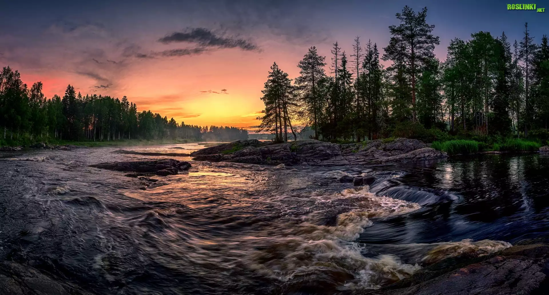 Rzeka Kiiminkijoki, Teren Koiteli, Kiiminki, Finlandia, Wschód słońca, Las, Drzewa, Kamienie