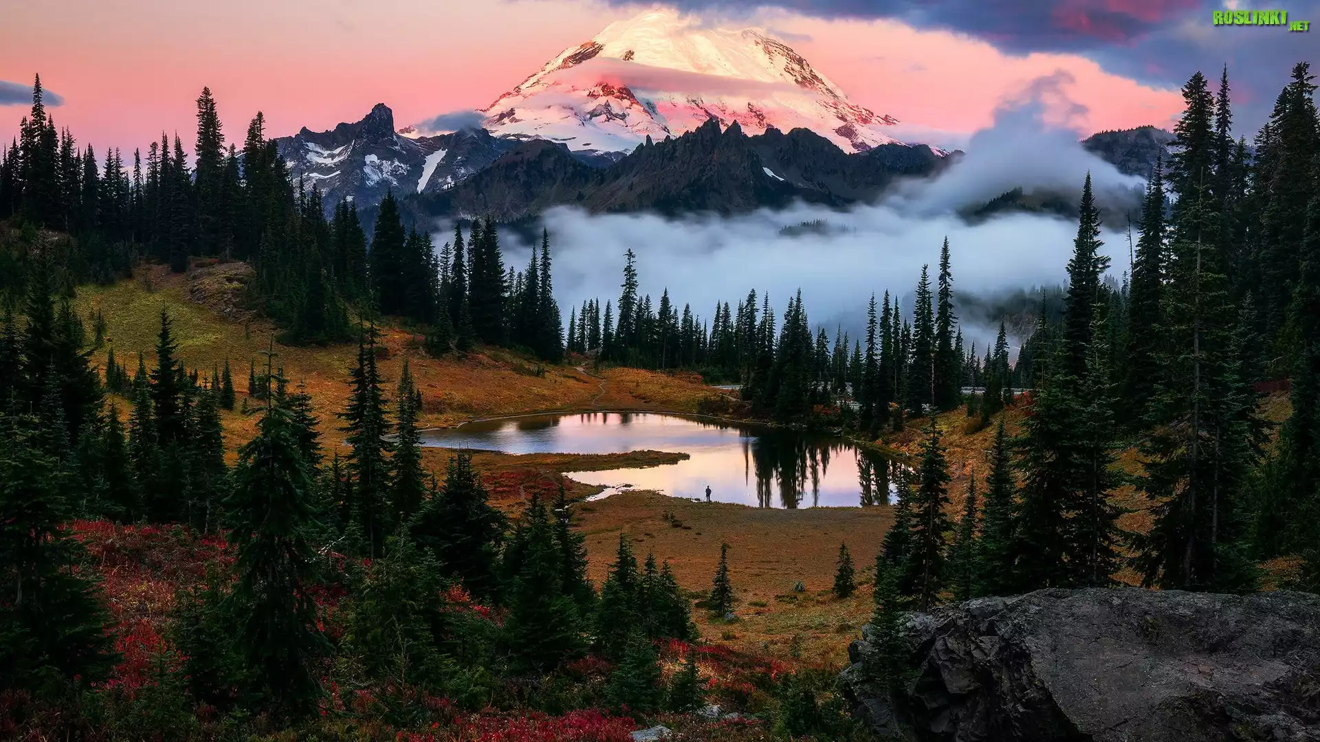 Stratowulkan, Góra, Mount Rainier, Drzewa, Jezioro, Tipsoo Lake, Park Narodowy Mount Rainier, Stan Waszyngton, Stany Zjednoczone