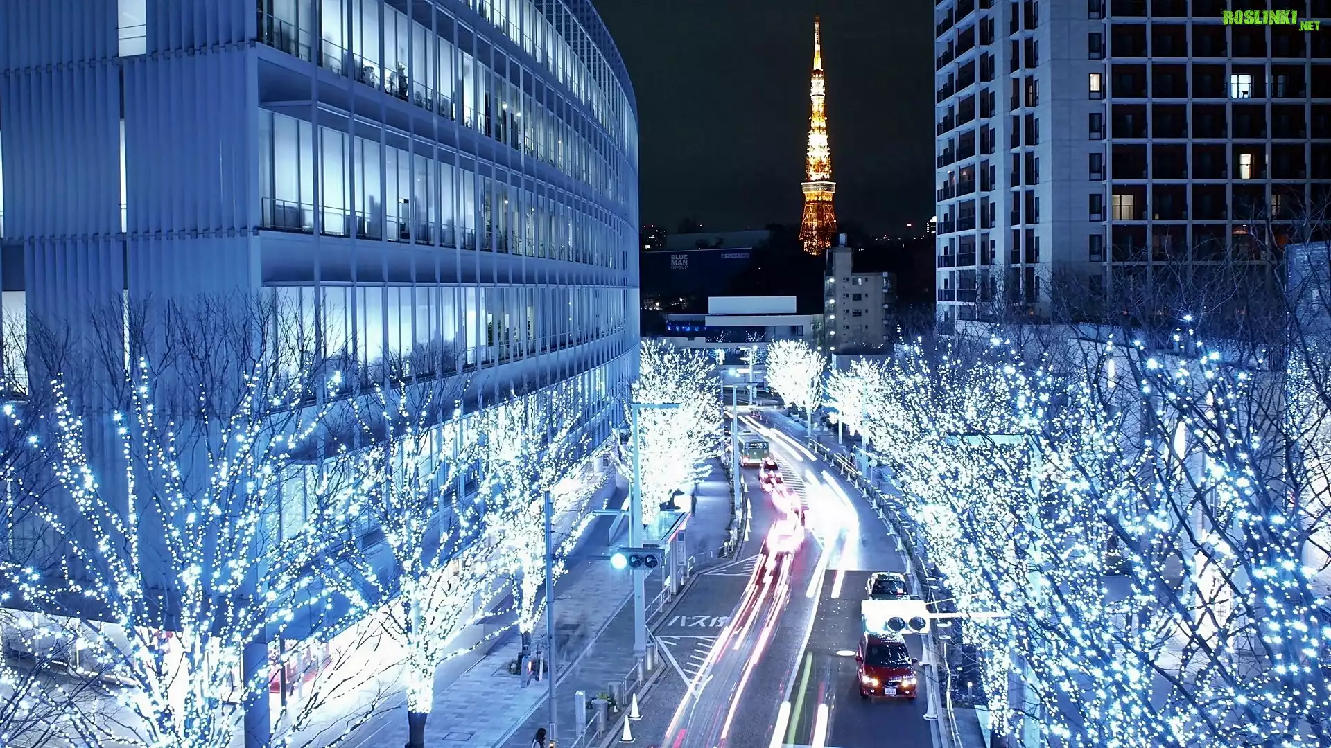 Tokio, NocÄ…, Drzewa, ÅšwiÄ…teczna, Dekoracja