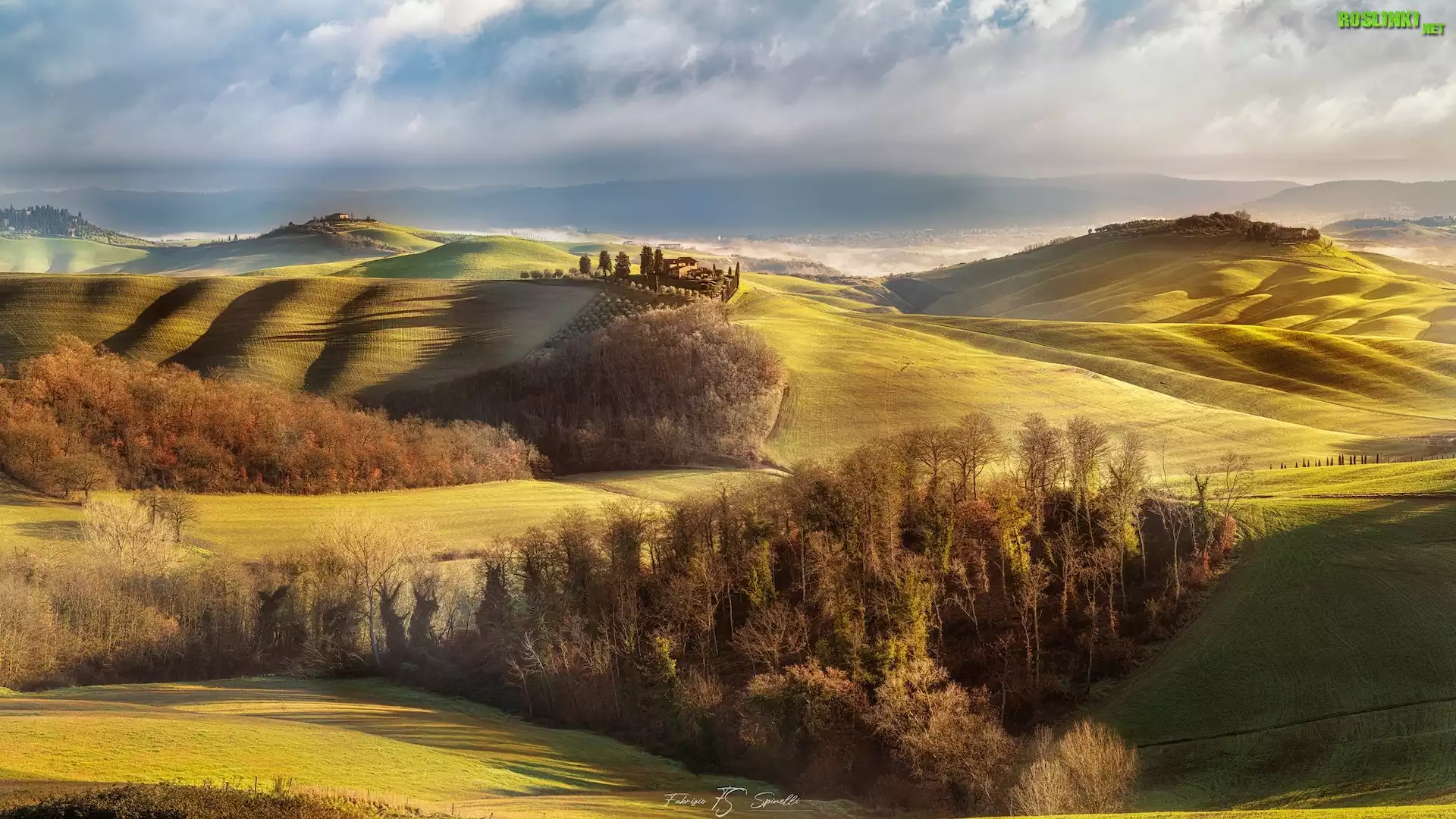Włochy, Toskania, Asciano, Crete Senesi, Wzgórza, Drzewa, Jesień