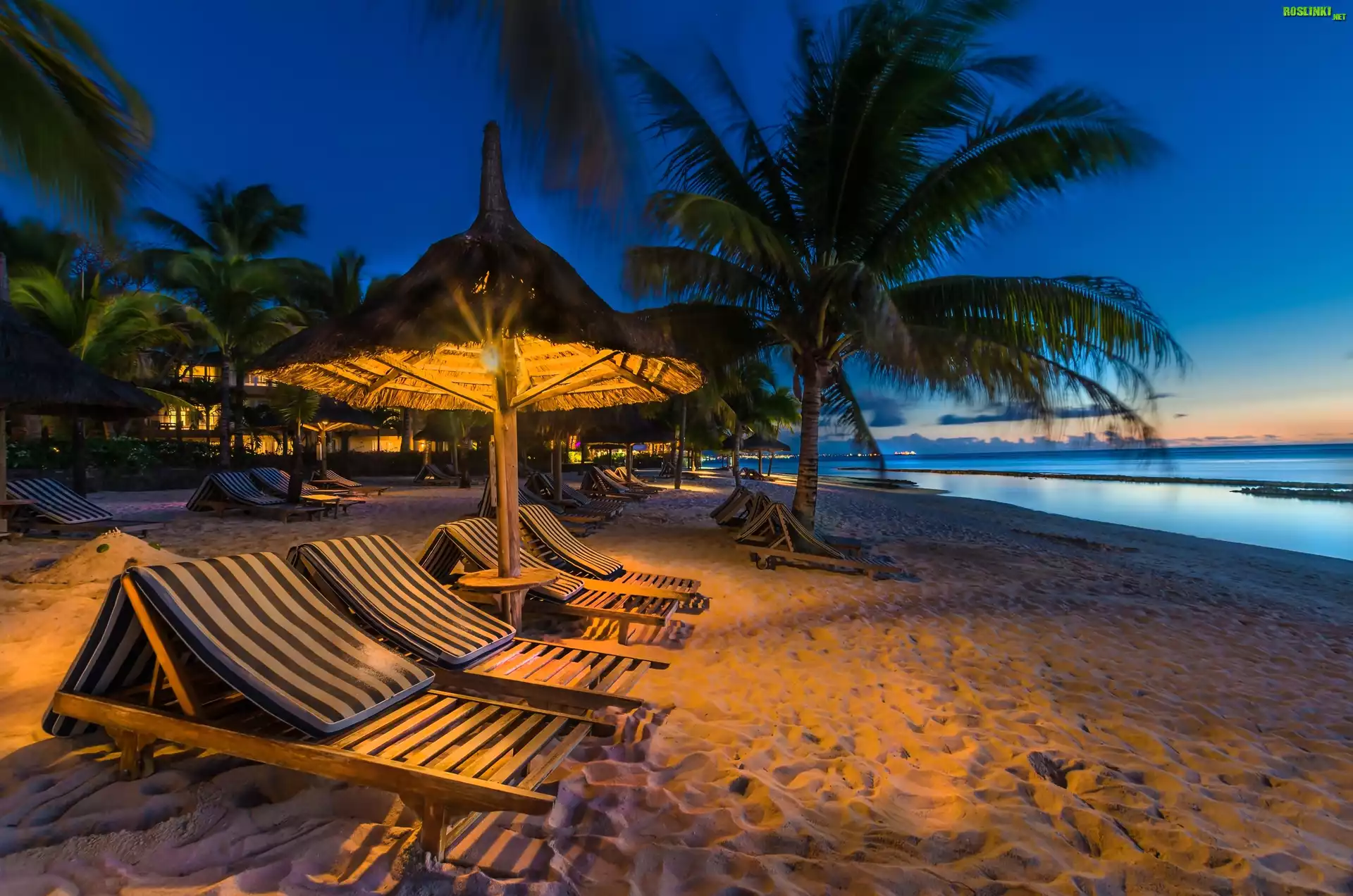 Plaża, Leżaki, Palmy, Ocean, Zmierzch, Wyspa, Mauritius, Tropiki, Wakacje