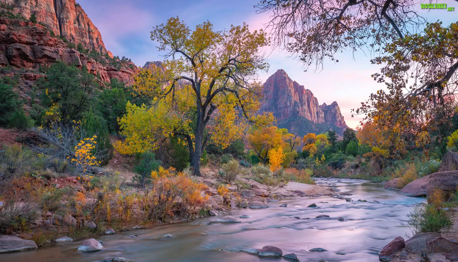 Park Narodowy Zion, Góra Watchman, Drzewa, Góry, Rzeka, Virgin River, Stan Utah, Stany Zjednoczone