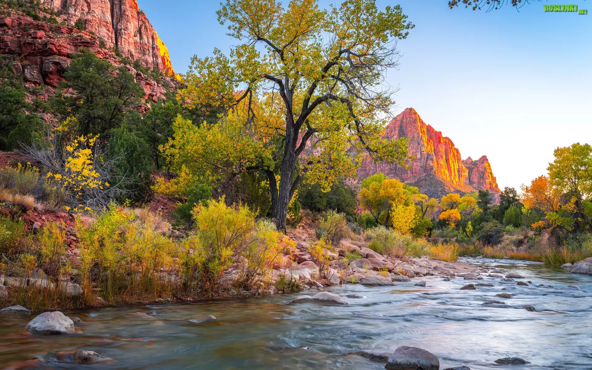 Park Narodowy Zion, Góry Watchman, Drzewa, Rzeka, Kamienie, Virgin River, Stan Utah, Stany Zjednoczone