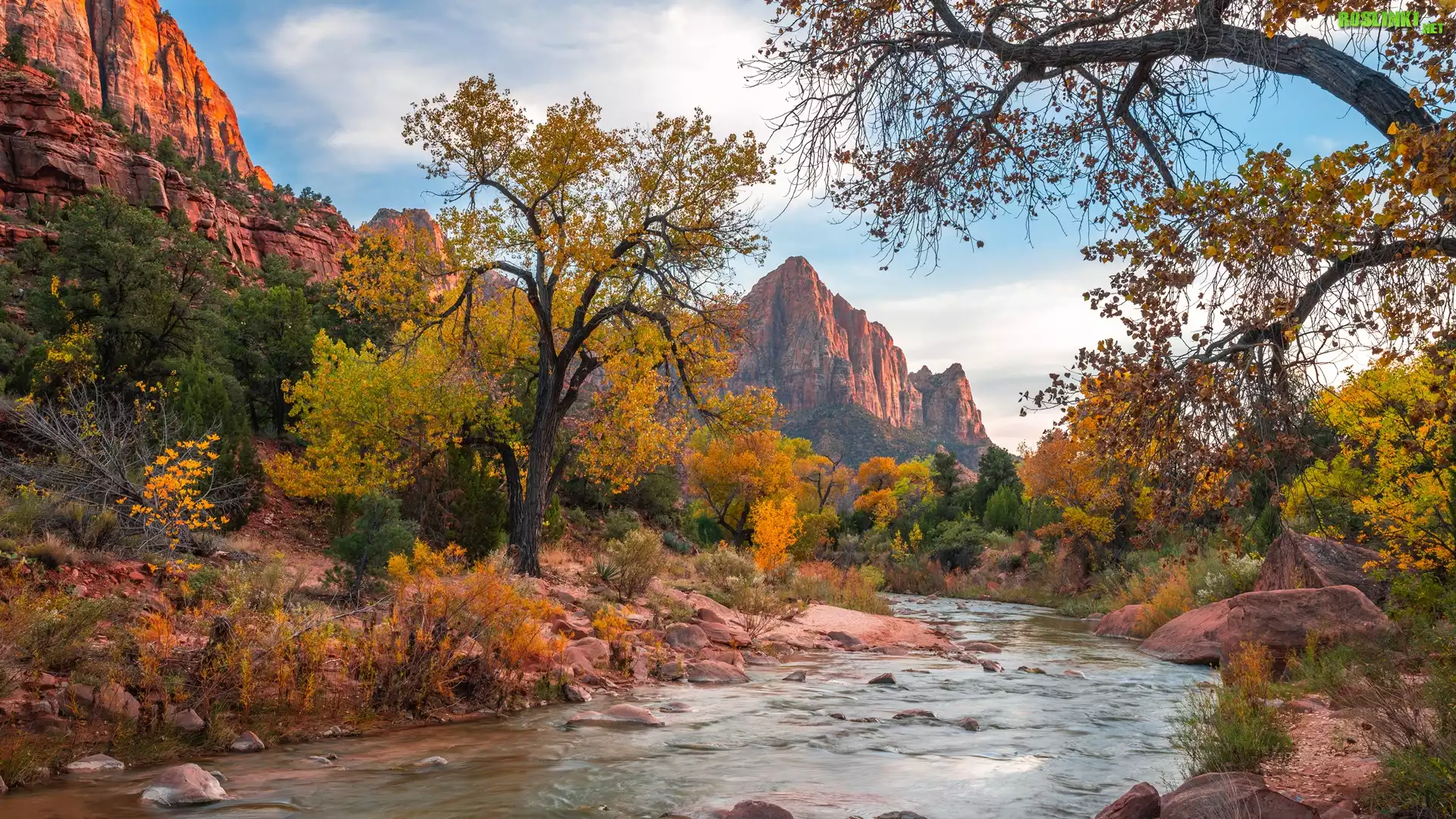 Park Narodowy Zion, Góry Watchman, Drzewa, Rzeka Virgin River, Kamienie, Stan Utah, Stany Zjednoczone