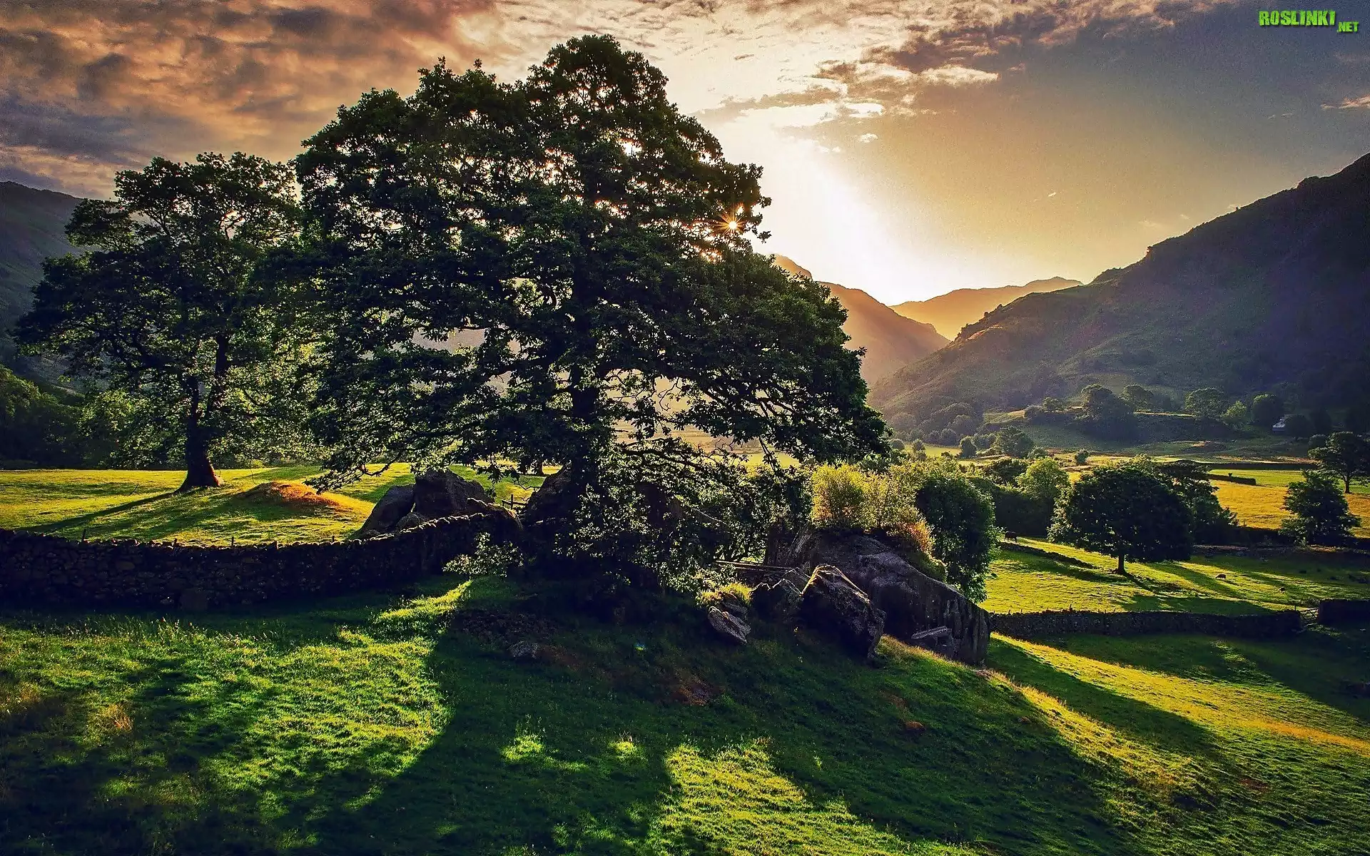 Cumbria, Park, Narodowy, Lake, District, Wzgórza, Drzewa, Chmury, Przebijające, Światło