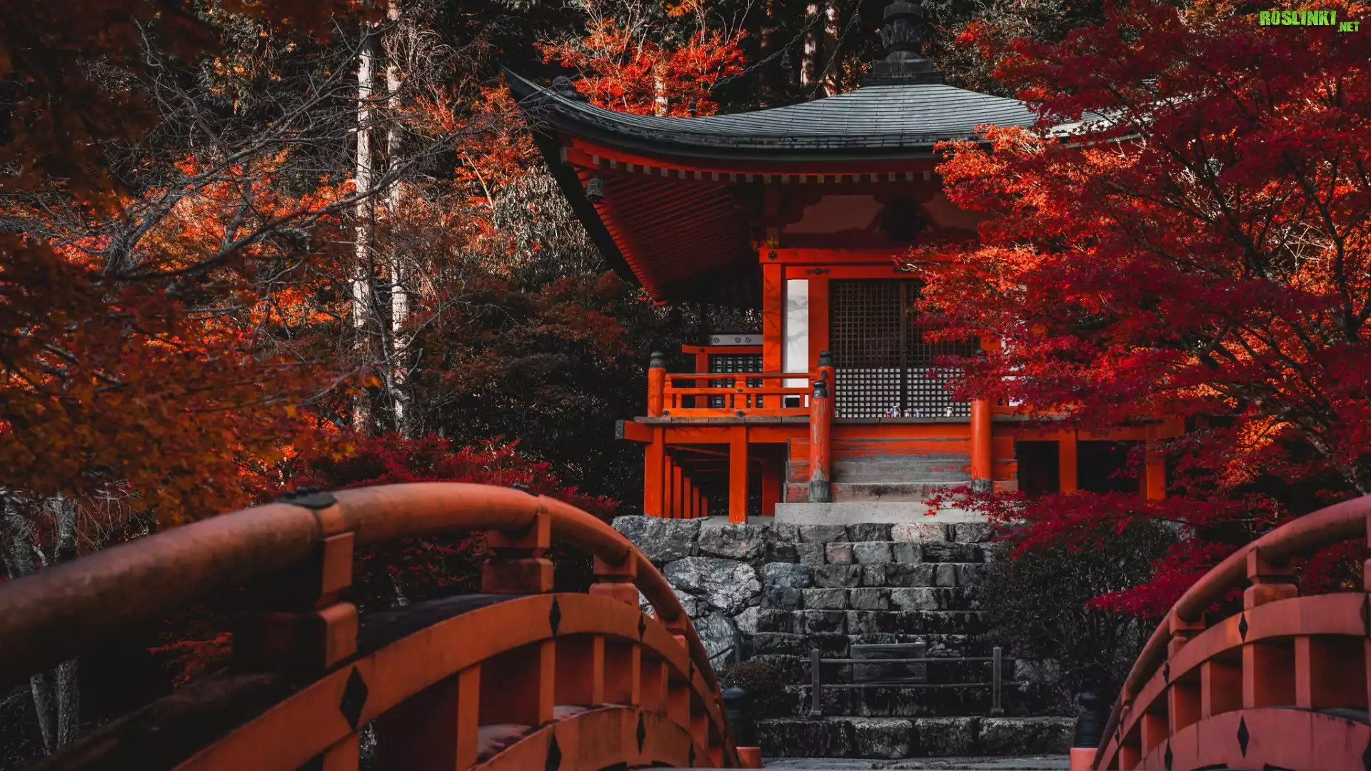 Japonia, Kioto, Świątynia, Bentendo Temple, Kompleks Daigo-ji, Jesień, Drzewa, Mostek