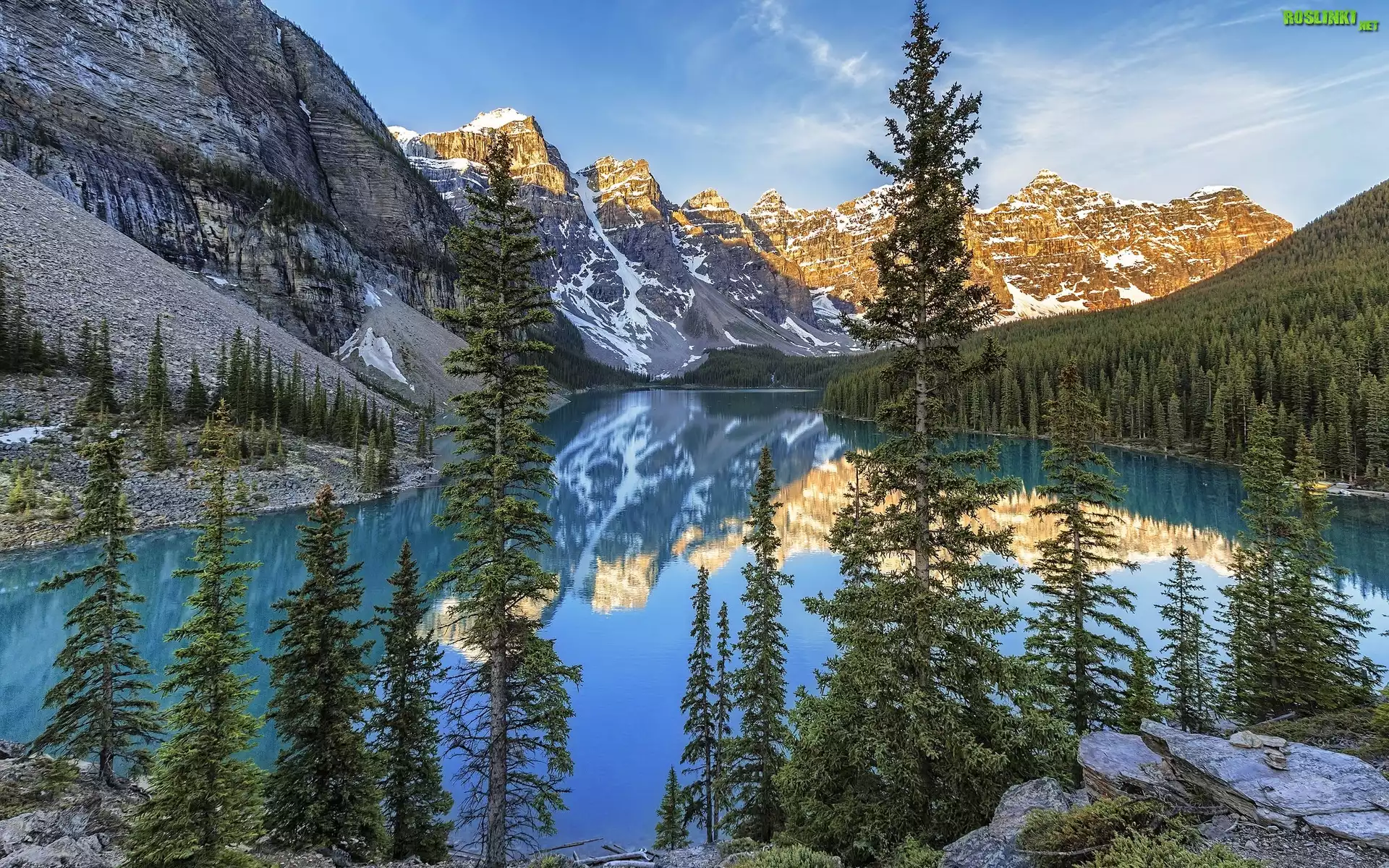 Kanada, Prowincja Alberta, Park Narodowy Banff, Jezioro Moraine, Drzewa, Świerki