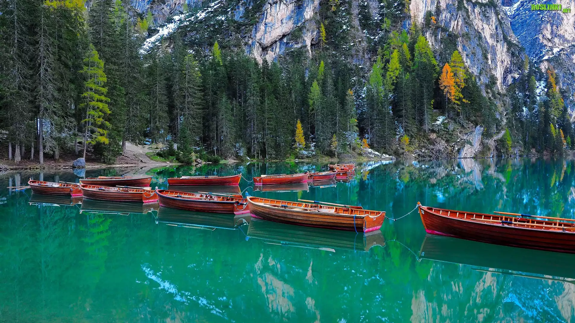 Włochy, Jezioro, Pragser Wildsee, Skały, Drzewa, Łodzie