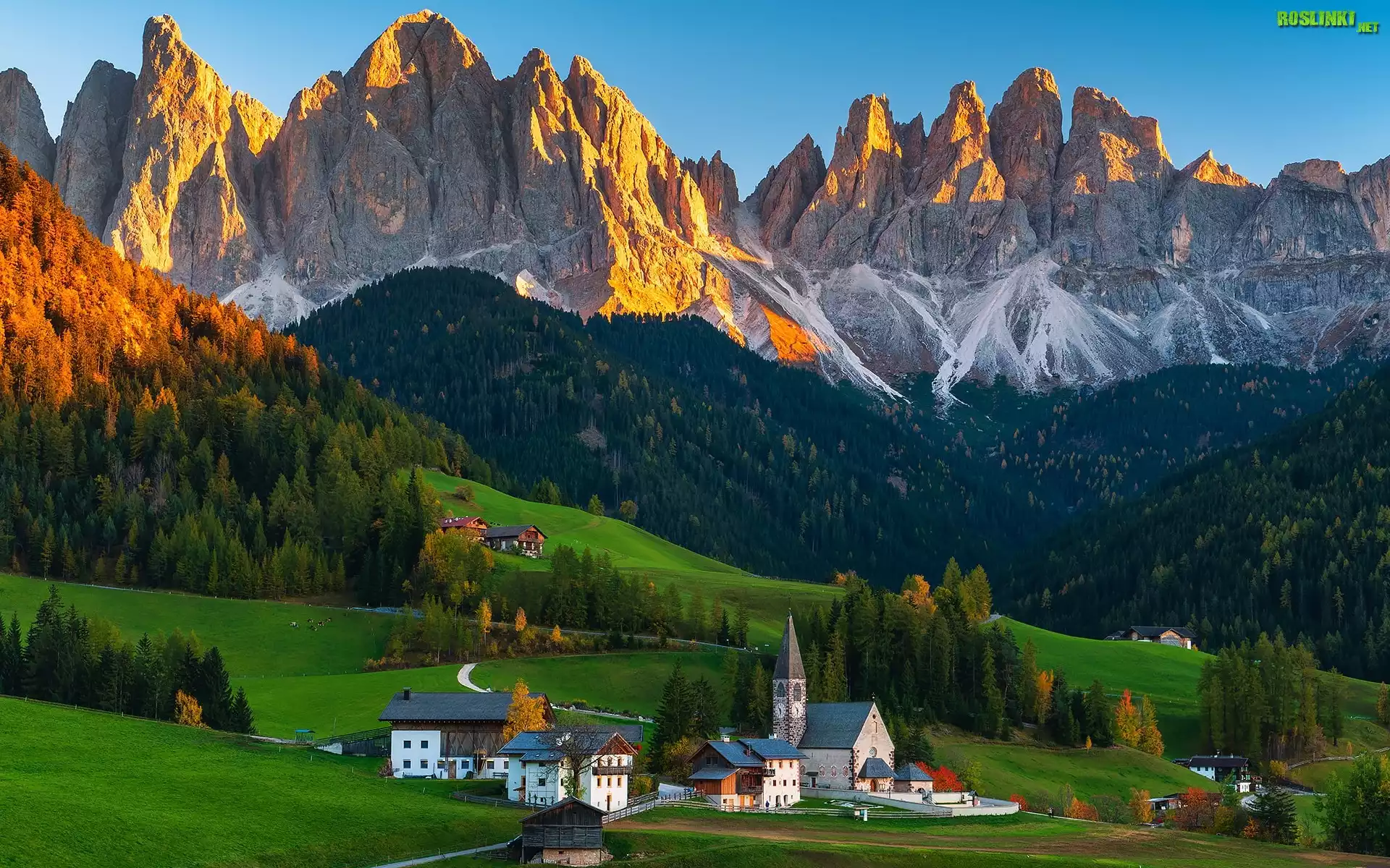 Włochy, Dolina, Val di Funes, Wieś, Santa Maddalena, Rozświetlone, Góry, Dolomity, Lasy, Drzewa, Domy, Kościół
