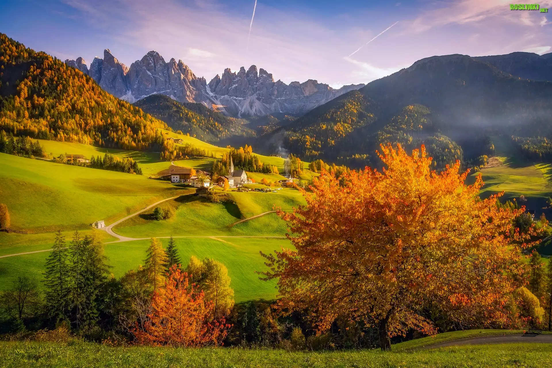 Włochy, Dolomity, Dolina Val di Funes, Wieś Santa Maddalena, Góry, Masyw Odle, Jesień, Lasy, Drzewa, Domy, Kościół