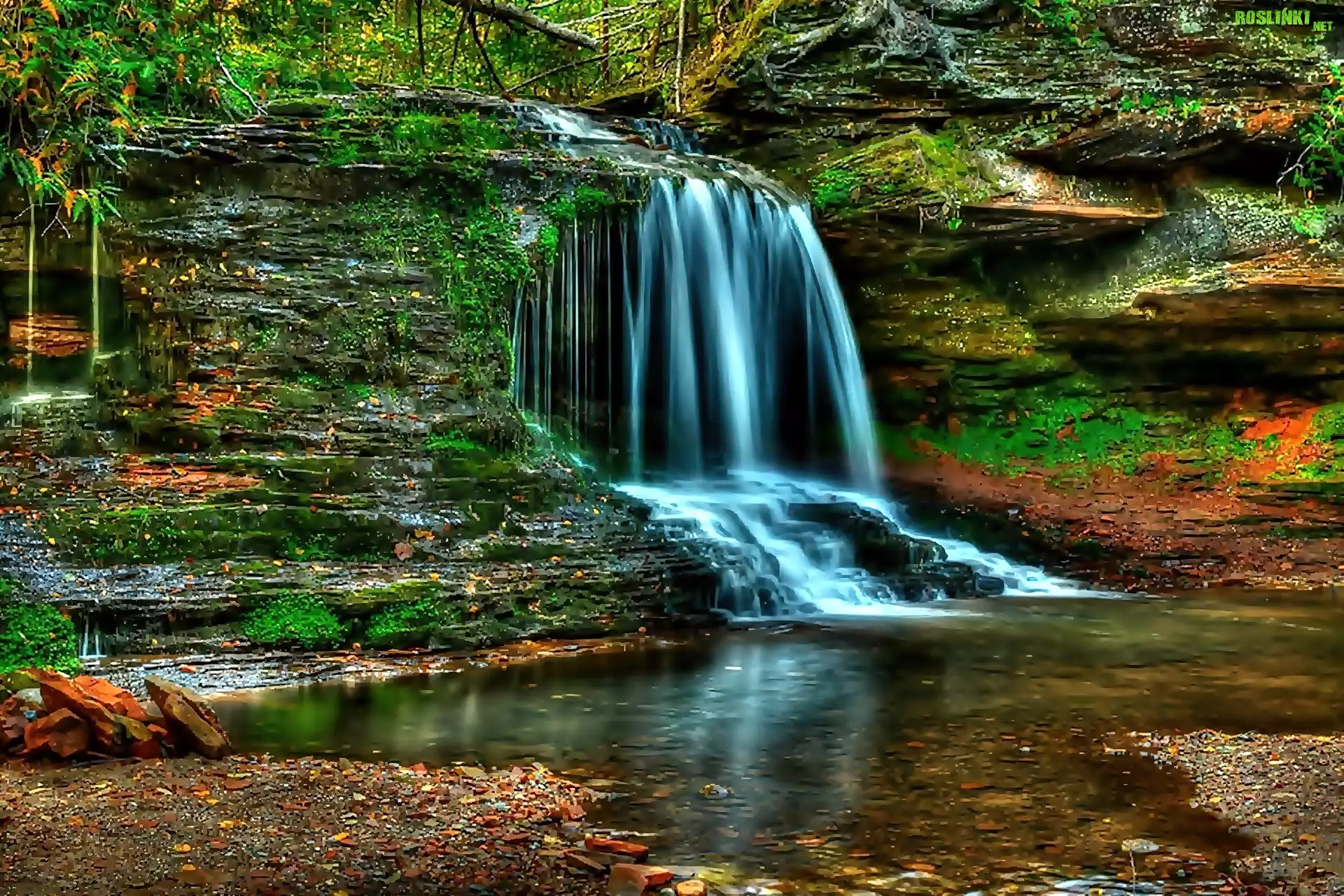 Stany Zjednoczone, Stan Wisconsin, Wodospad Lost Creek Falls, Skały, Mchy, Jeziorko