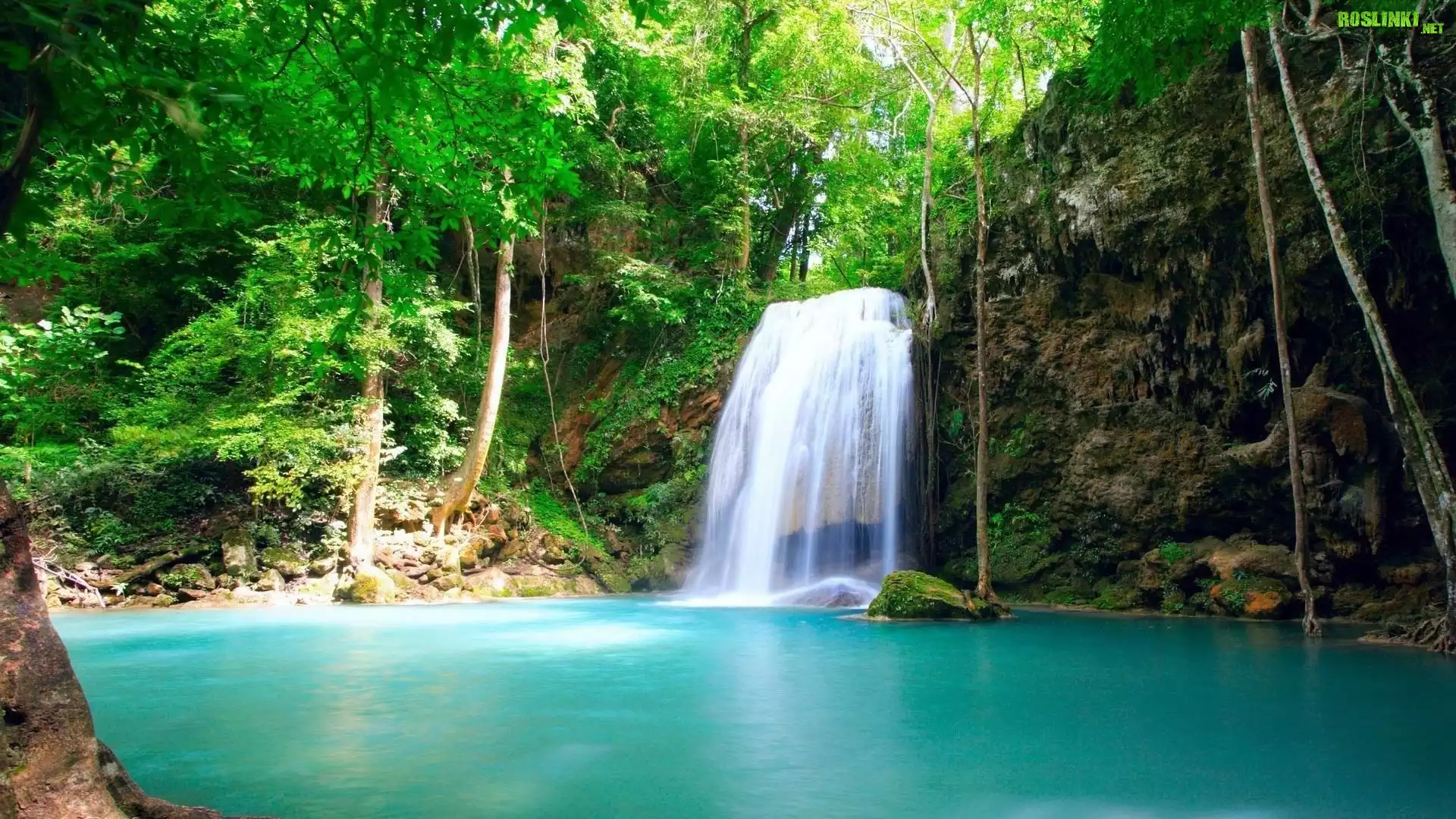 Wodospad, Jeziorko, Drzewa, Plitvice, Chorwacja