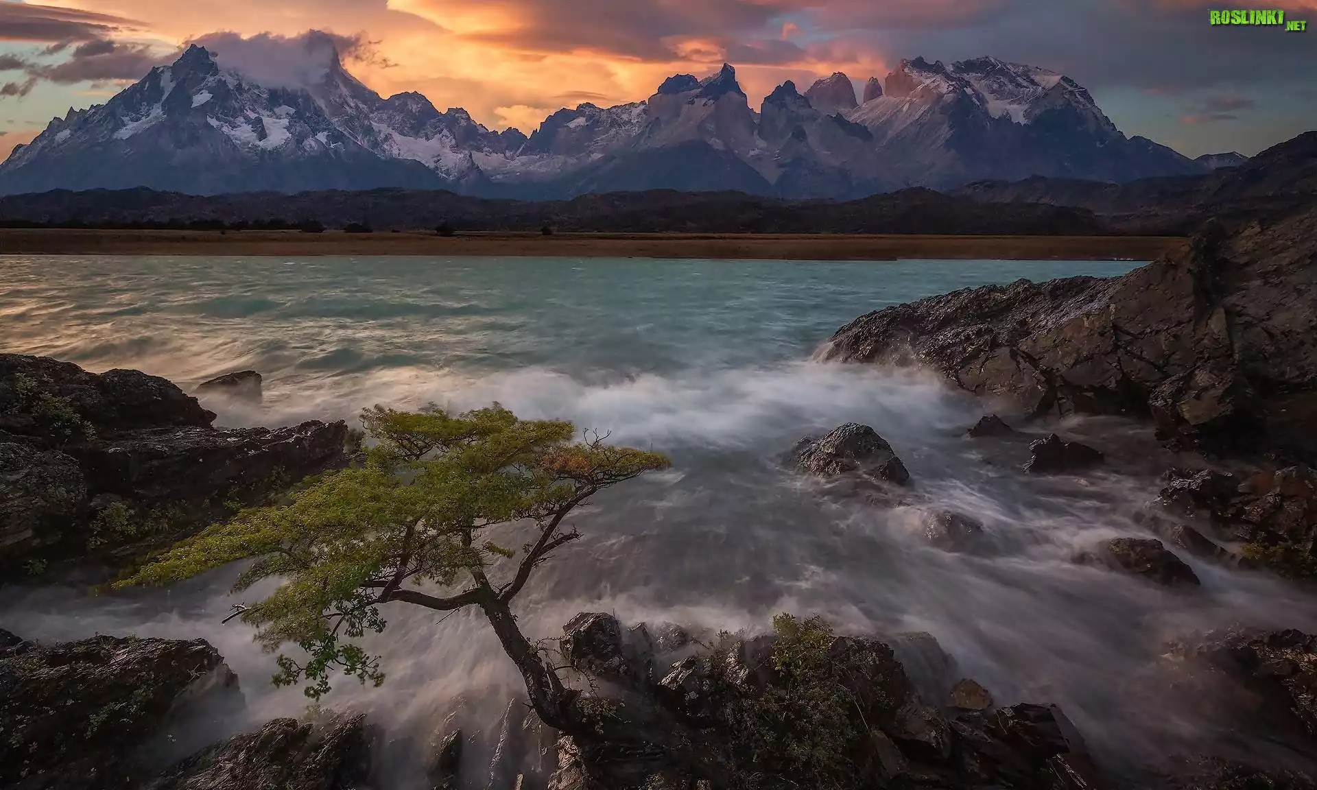 Wschód słońca, Góry, Cordillera del Paine, Jezioro, Pehoe Lake, Skały, Drzewo, Park Narodowy Torres del Paine, Patagonia, Chile