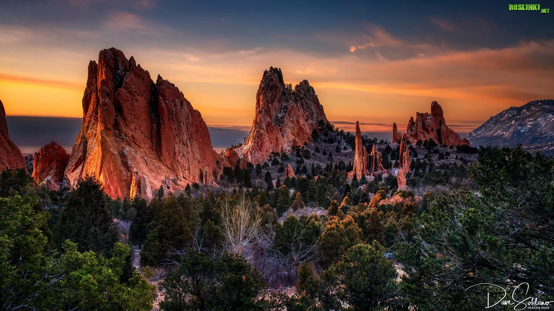 Wschód słońca, Skały, Drzewa, Formacje skalne, Park, Garden of the Gods, Colorado Springs, Kolorado, Stany Zjednoczone
