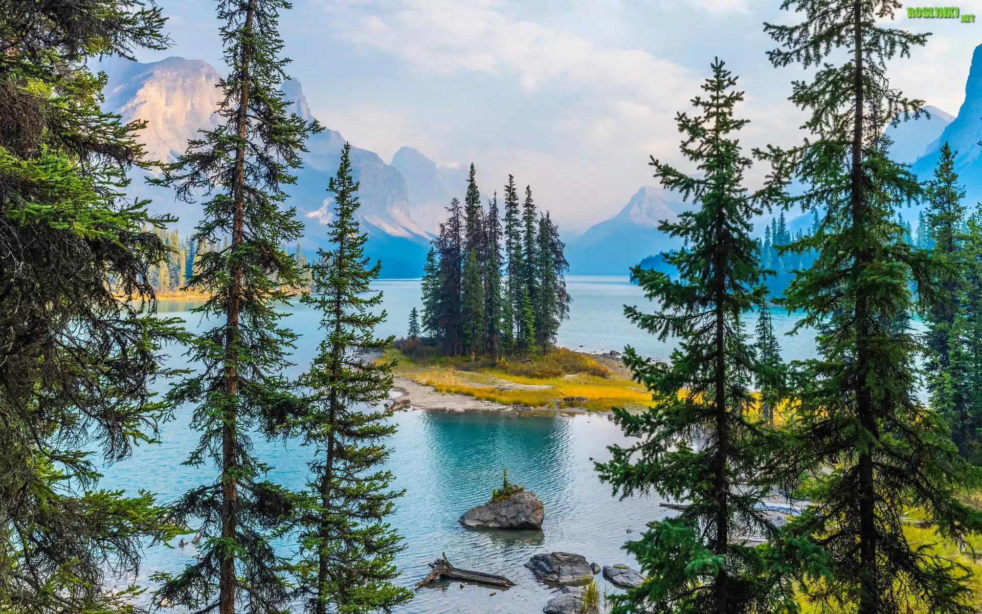 Kanada, Park Narodowy Jasper, Drzewa, Góry, Jezioro, Maligne Lake, Wyspa Spirit Island