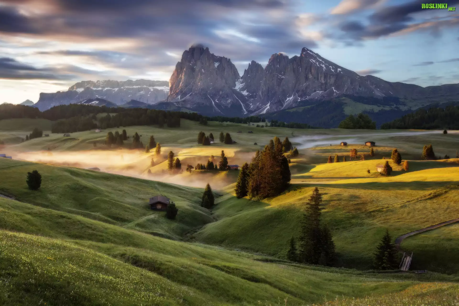 Wzgórza, Mgła, Drzewa, Dolina Val Gardena, Góry Sassolungo, Dolomity, Płaskowyż Seiser Alm, Włochy