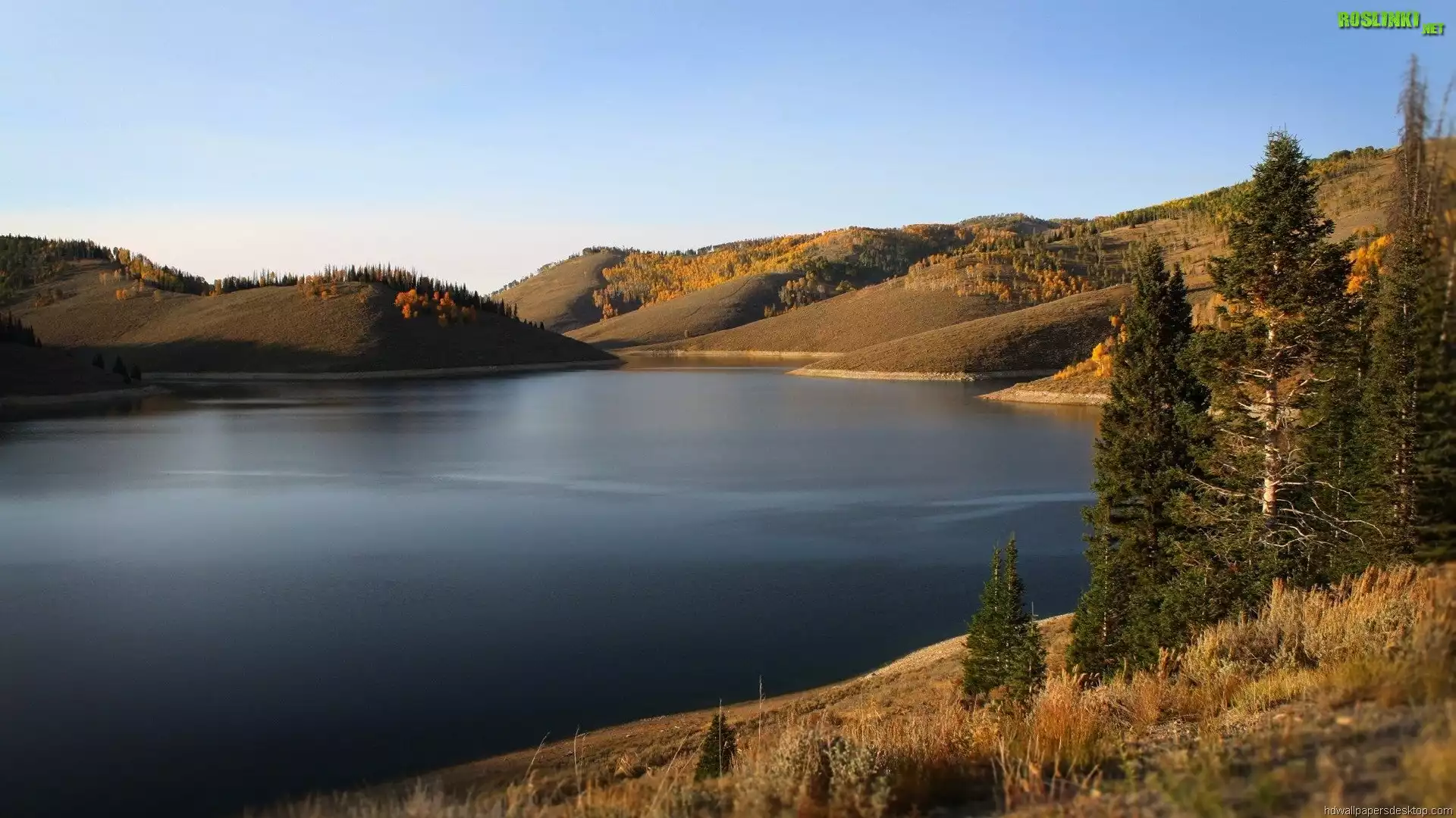 Jezioro, Wzgórza, Drzewa