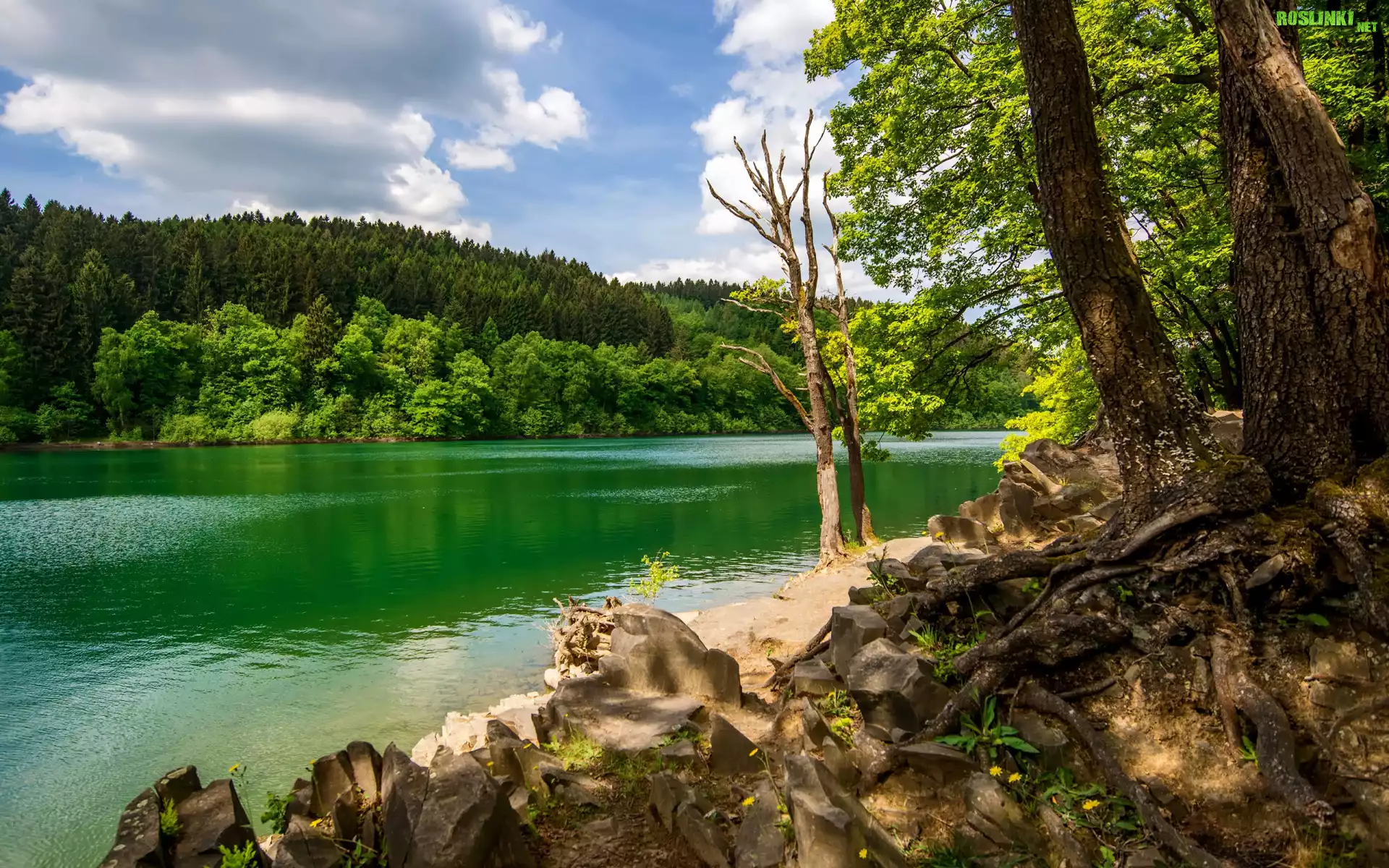 Rzeka, Wzgórze, Las, Drzewa, Kamienie, Niebo, Chmury