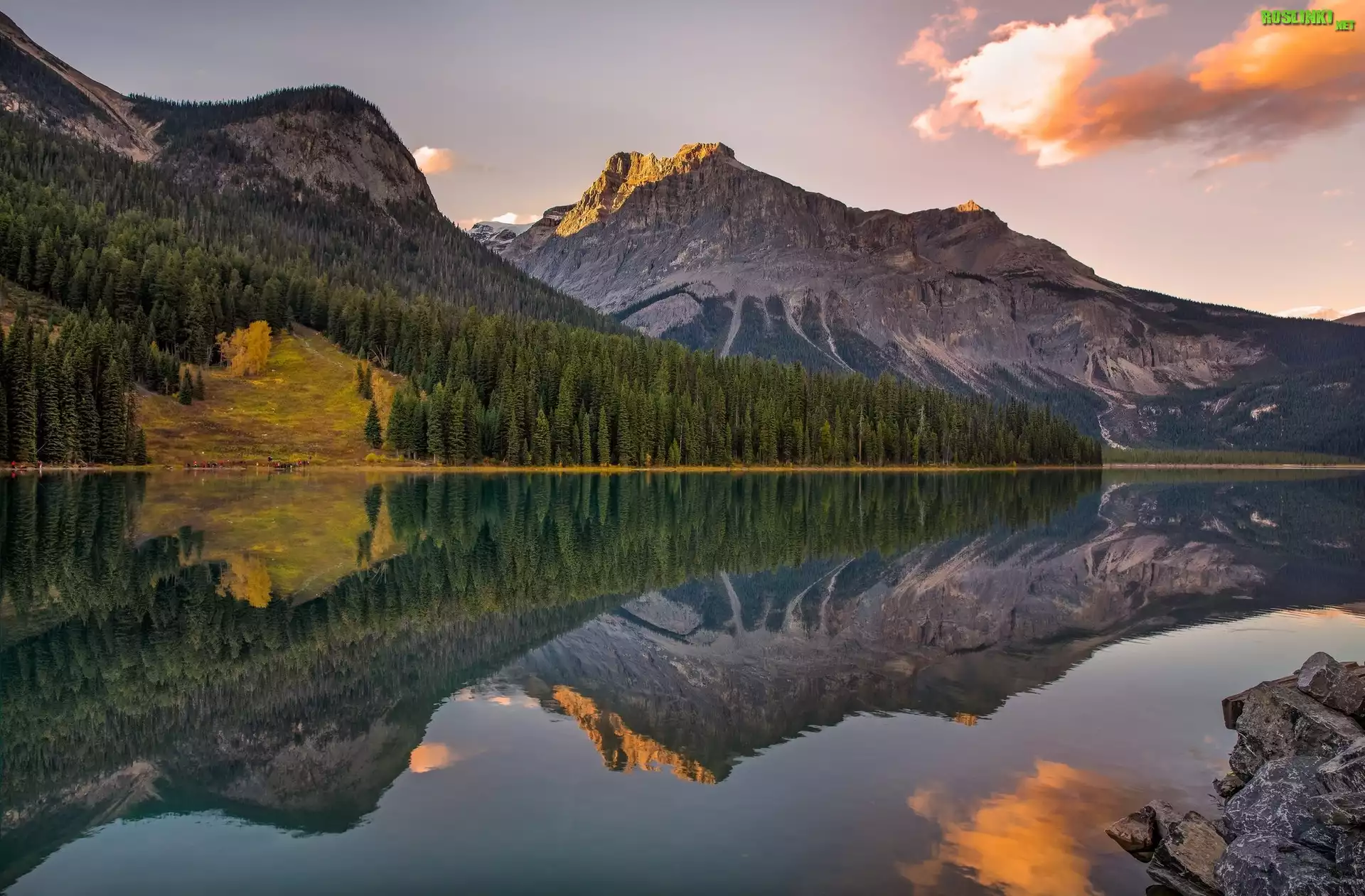Kanada, Kolumbia Brytyjska, Park Narodowy Yoho, Jezioro Emerald Lake, Góry, Świerki, Odbicie