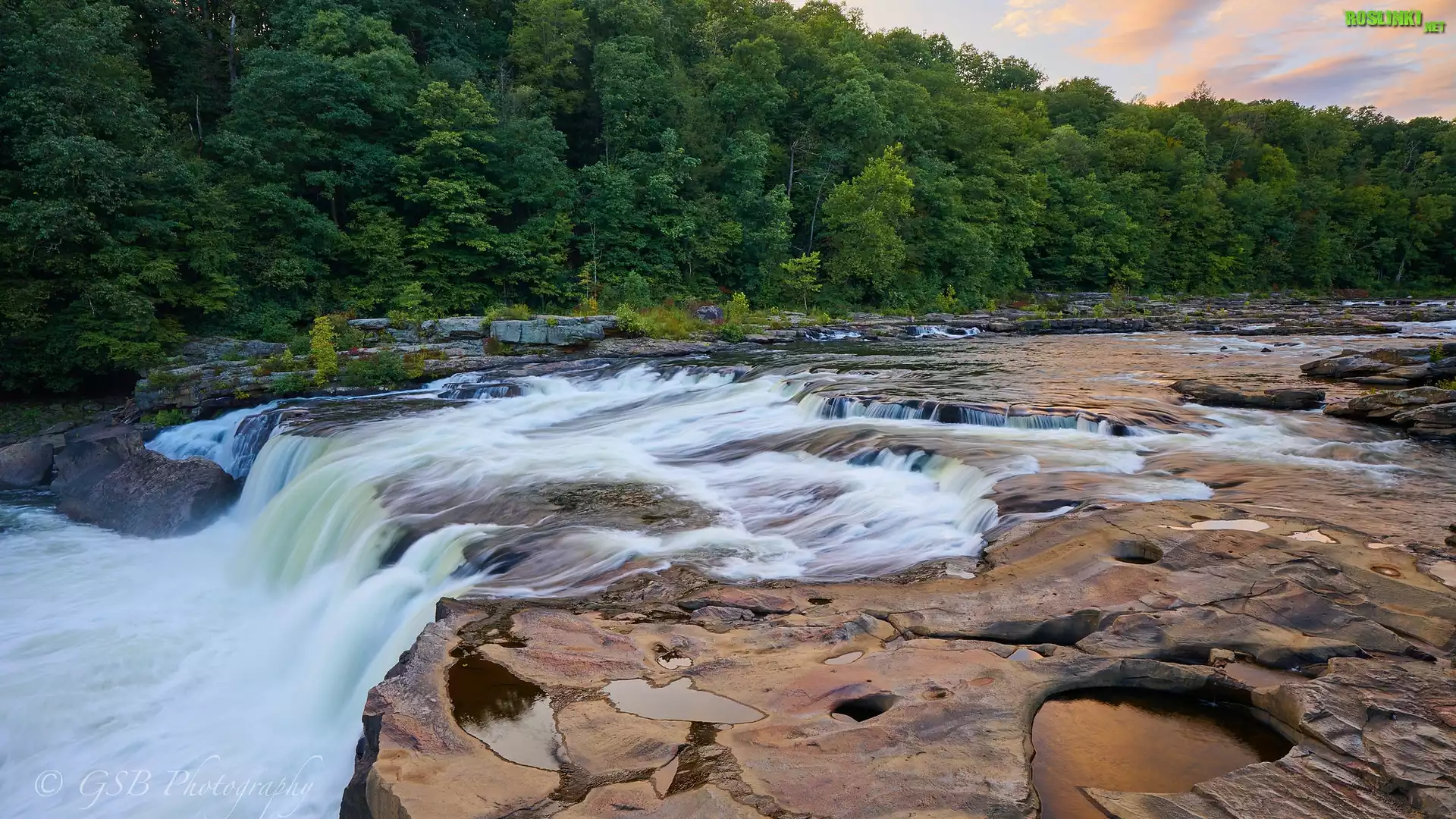 Wodospad, Ohiopyle Falls, Drzewa, Las, Rzeka, Youghiogheny River, Pensylwania, Stany Zjednoczone