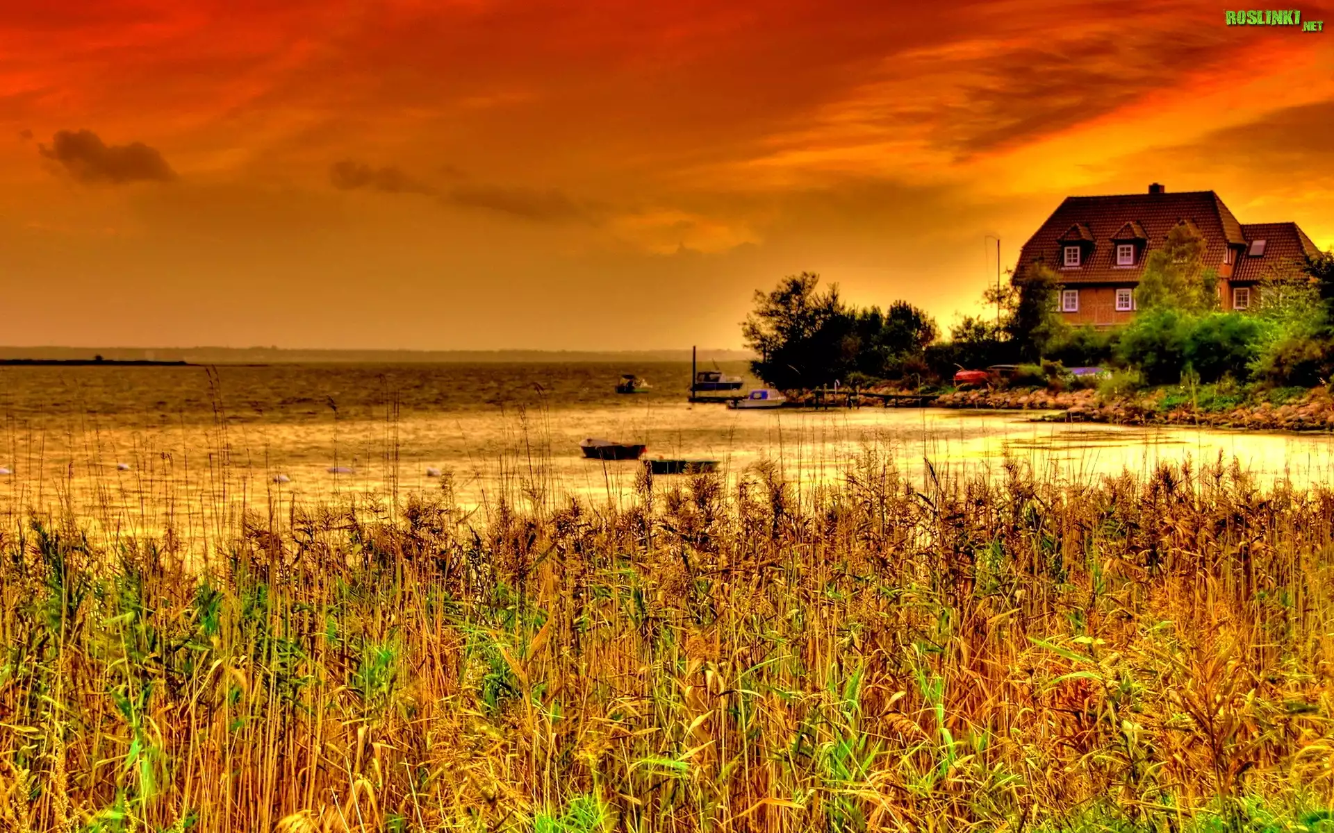 Zachód, Słońca, Jezioro, Trawa, Dom