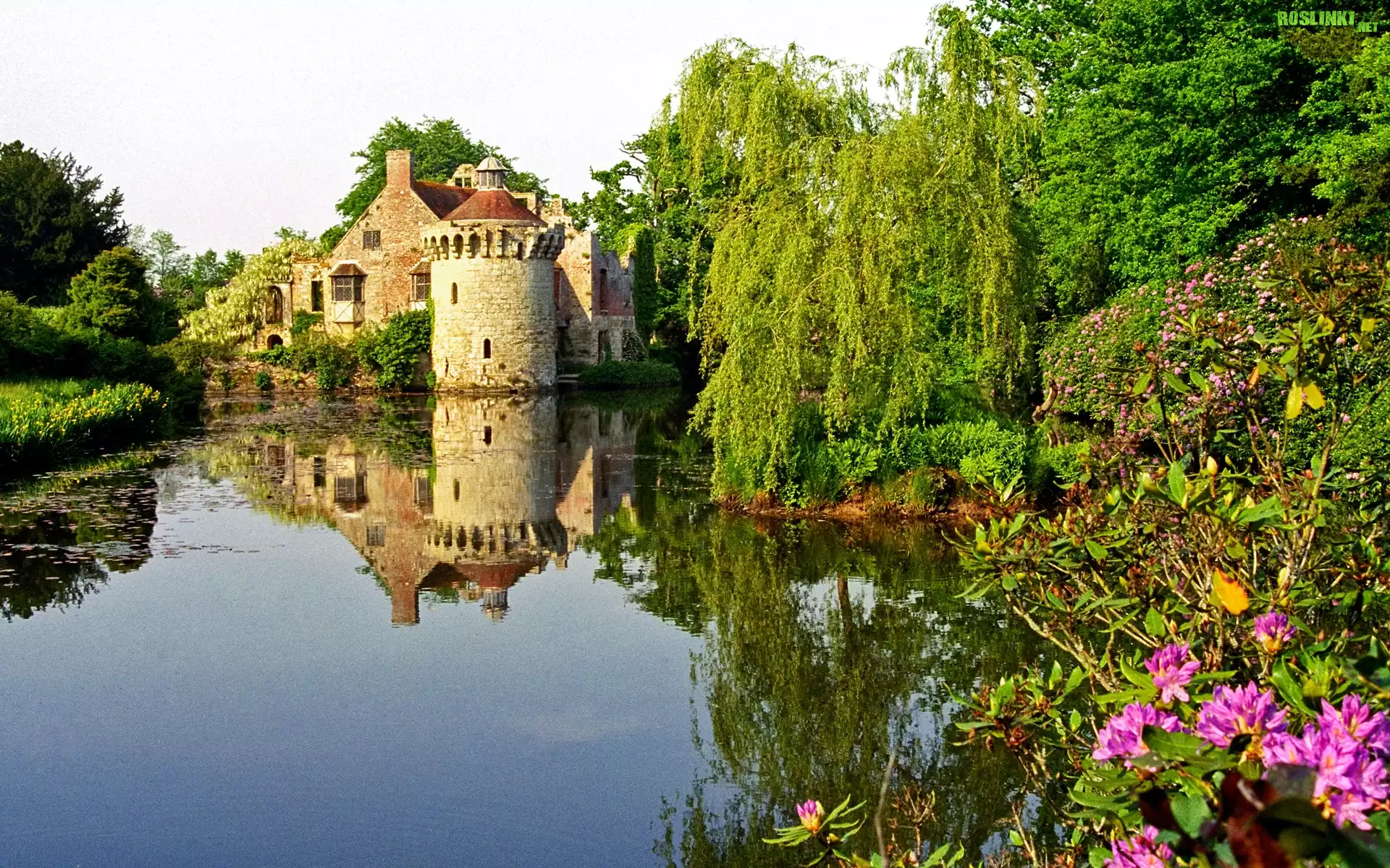 Zamek, Jeziorko, Kwiatki, Drzewa, Kent, Anglia