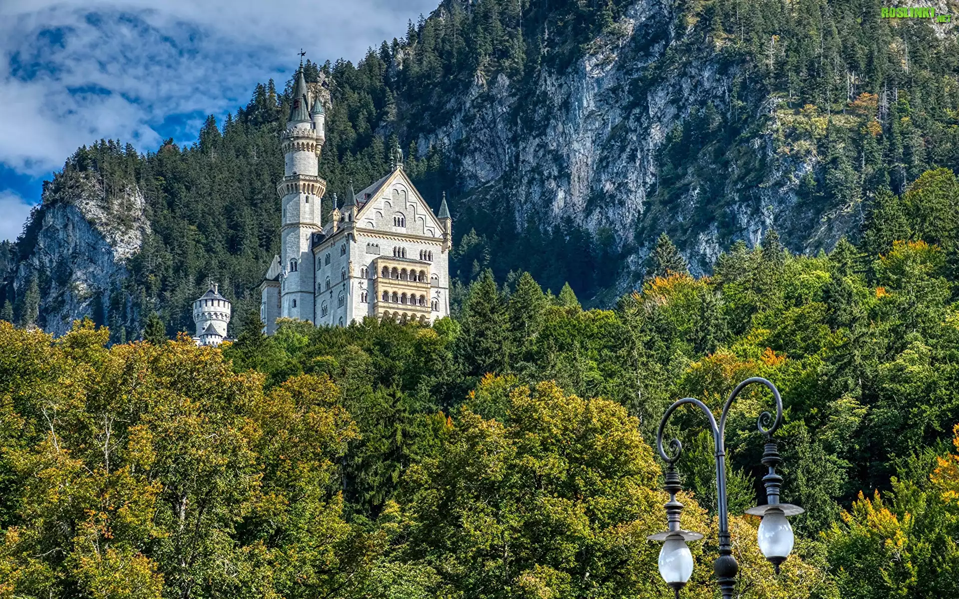 Zamek Neuschwanstein, Bawaria, Niemcy, Skały, Drzewa