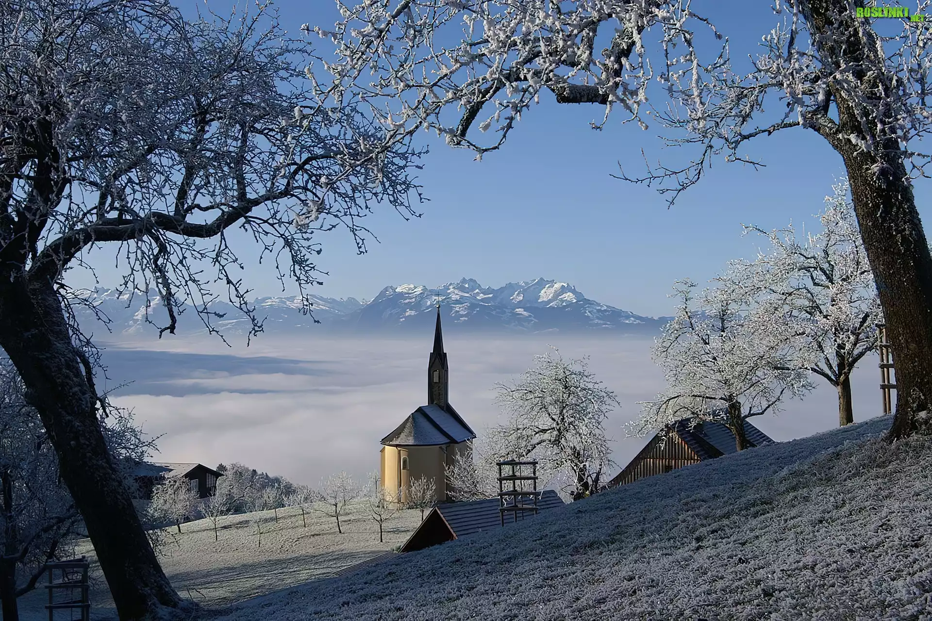 Zima, Kościółek, Drzewa, Austria