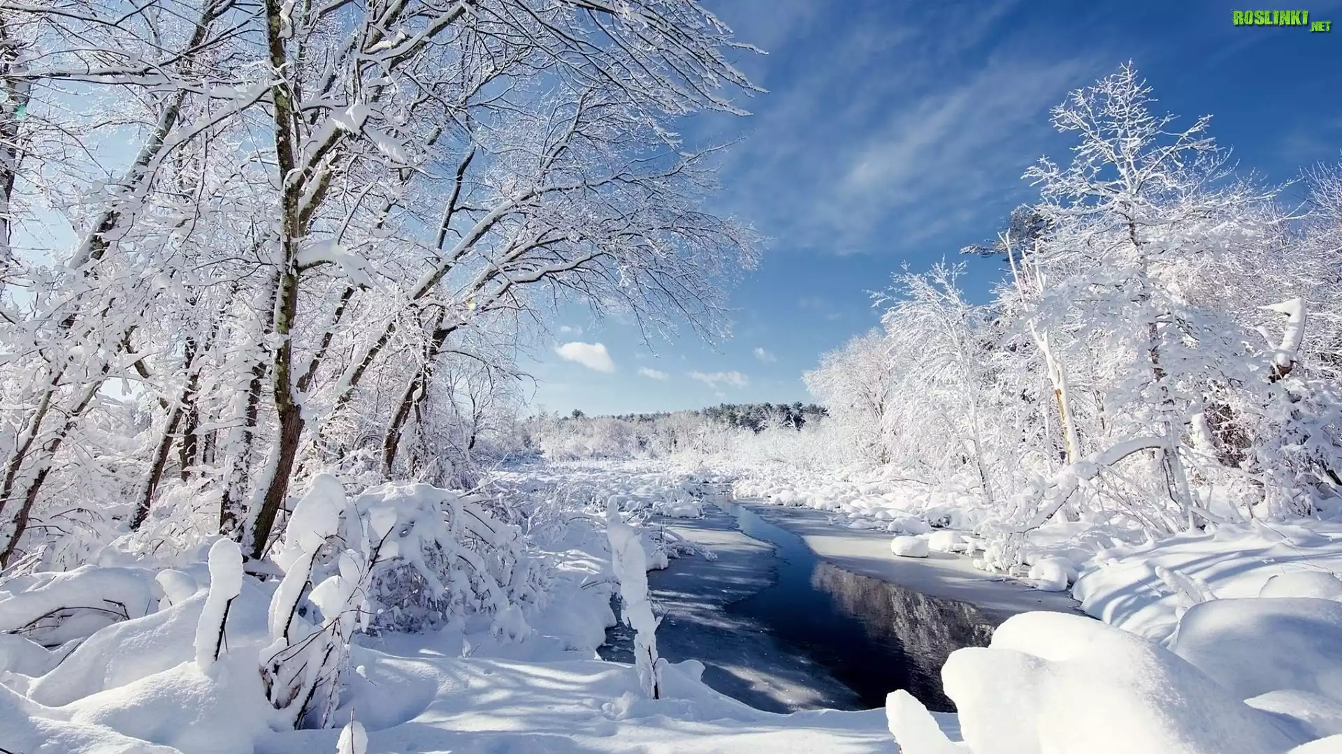 Zima, Śnieg, Ośnieżone, Drzewa, Rzeka