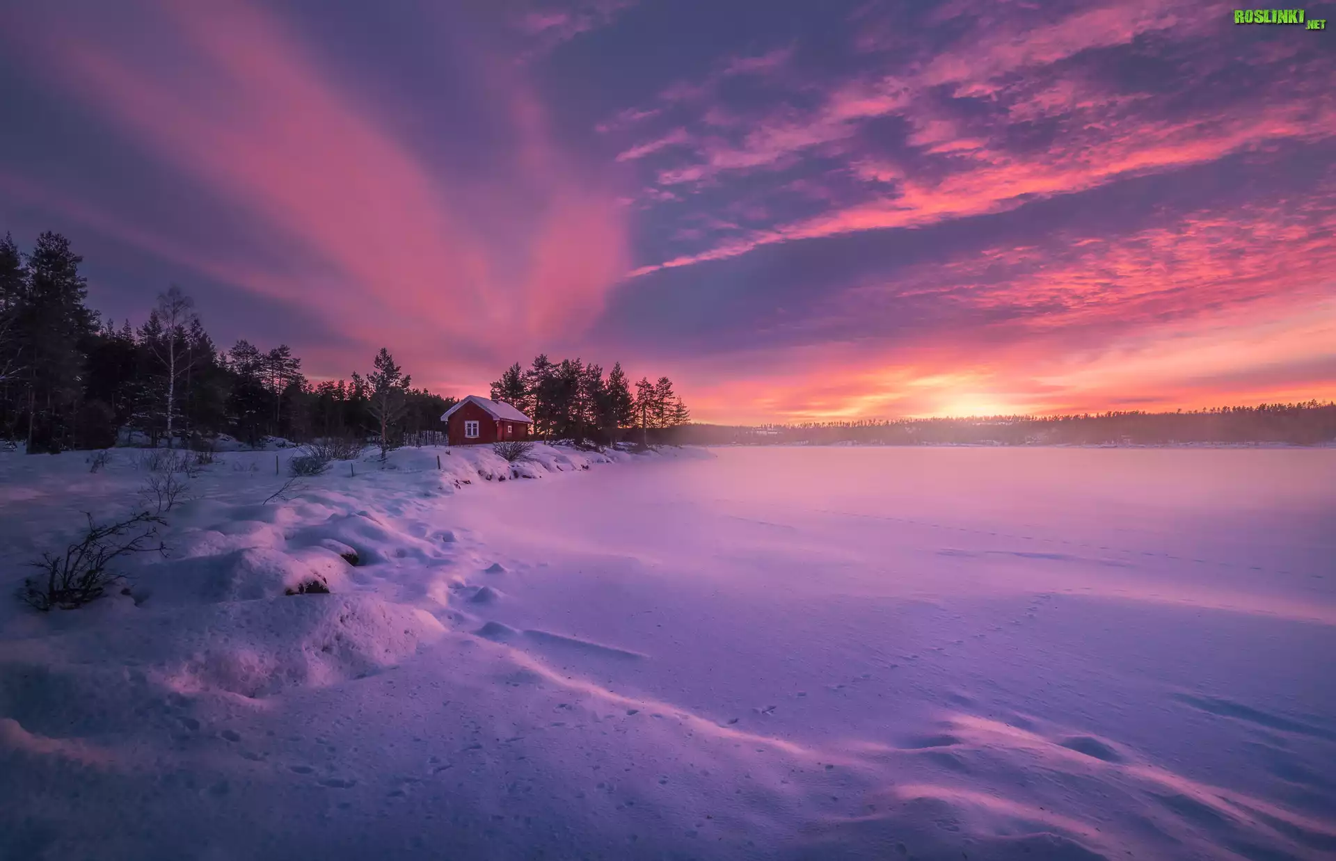 Norwegia, Ringerike, Jezioro, Drzewa, Dom, Chmury, Zachód słońca, Zima