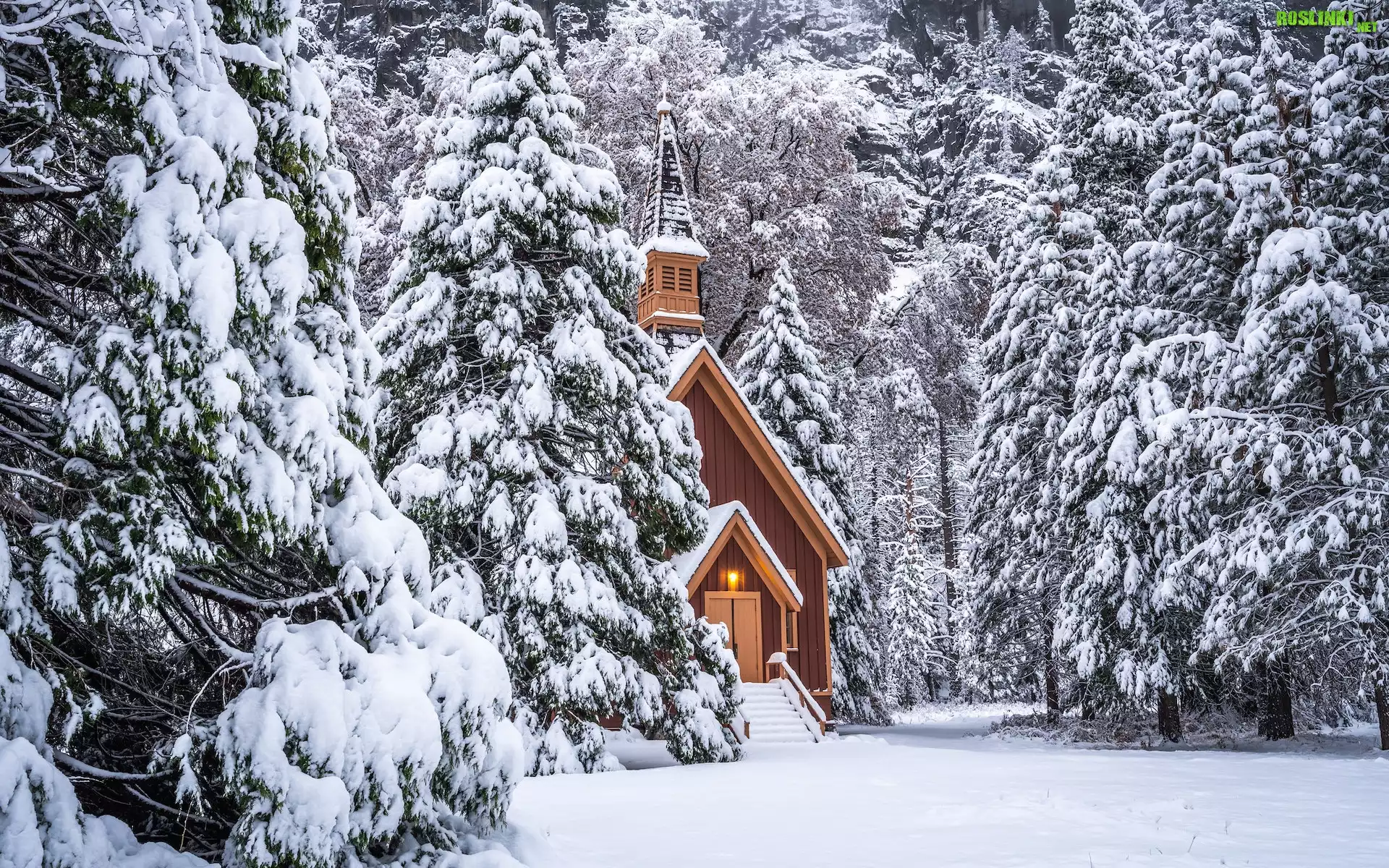 Zima, Drzewa, Kaplica, Kościółek, Las, Śnieg, Park Narodowy Yosemite, Stan Kalifornia, Stany Zjednoczone