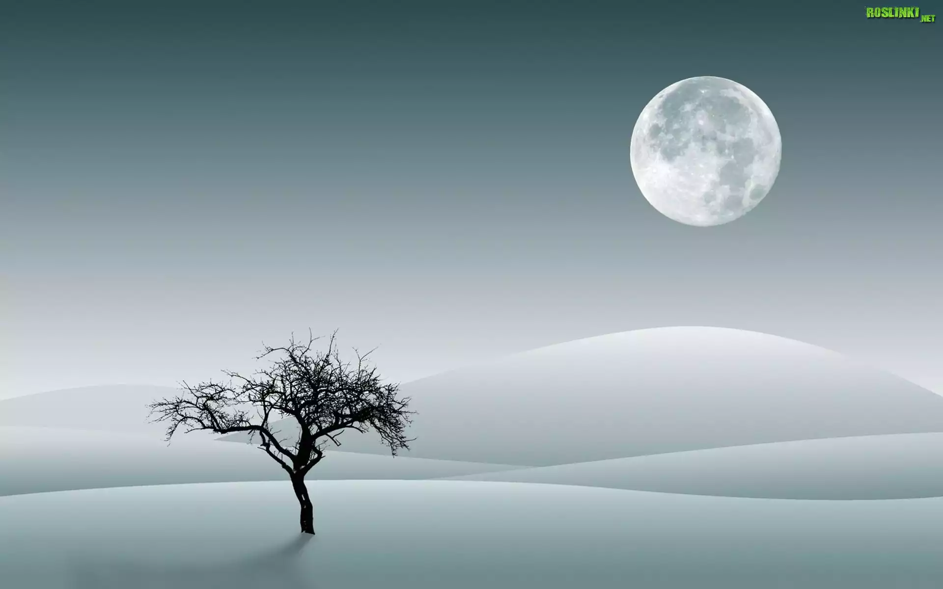 Zima, Drzewo, Śnieg, Księżyc, Grafika
