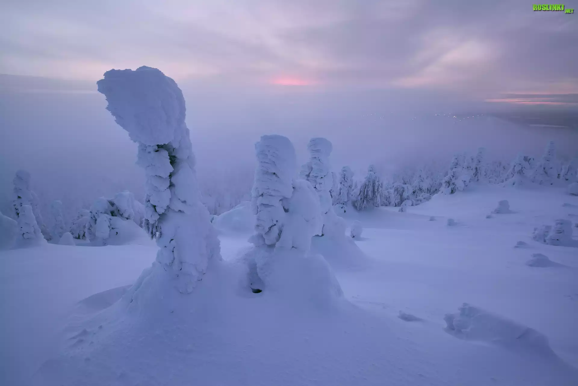 Zima, Góry, Zaśnieżone, Drzewa, Mgła, Finlandia