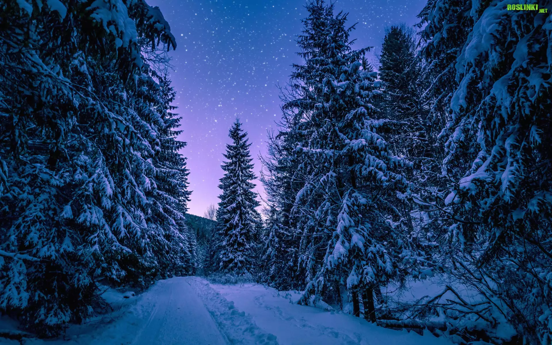 Zima, Åšnieg, Drzewa, Noc, Gwiazdy