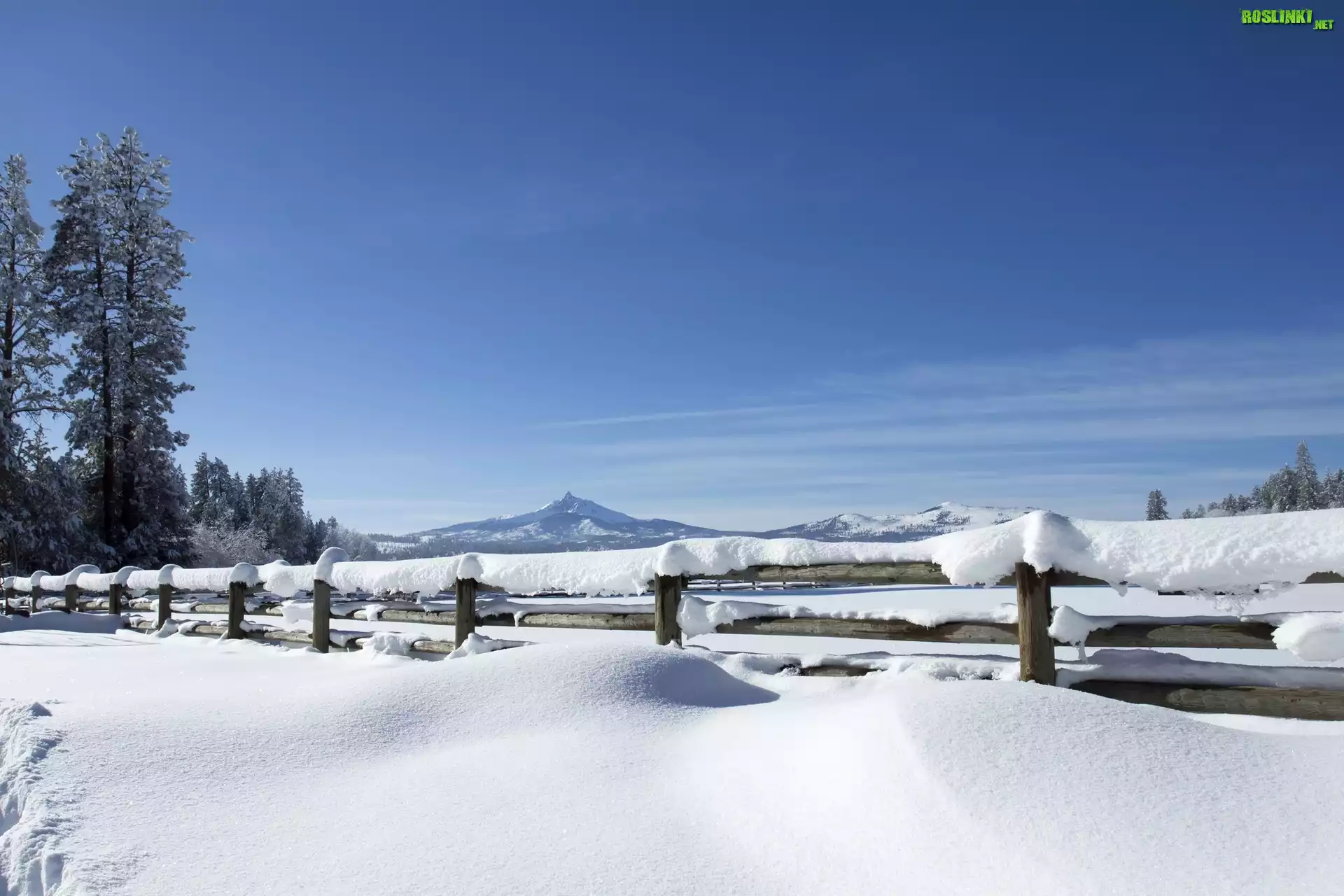 Zima, Śnieg, Ogrodzenie, Płot, Góry Białe, Góra Waszyngtona, Drzewa, Black Butte Ranch, Stan Oregon, Stany Zjednoczone