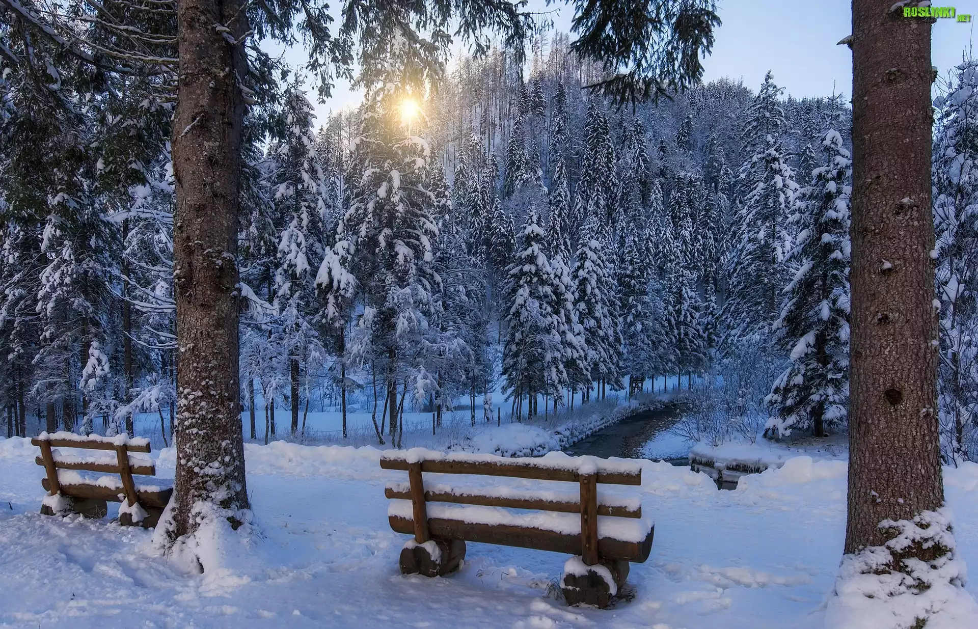 Zima, Park, Drzewa, Ławki, Wschód słońca