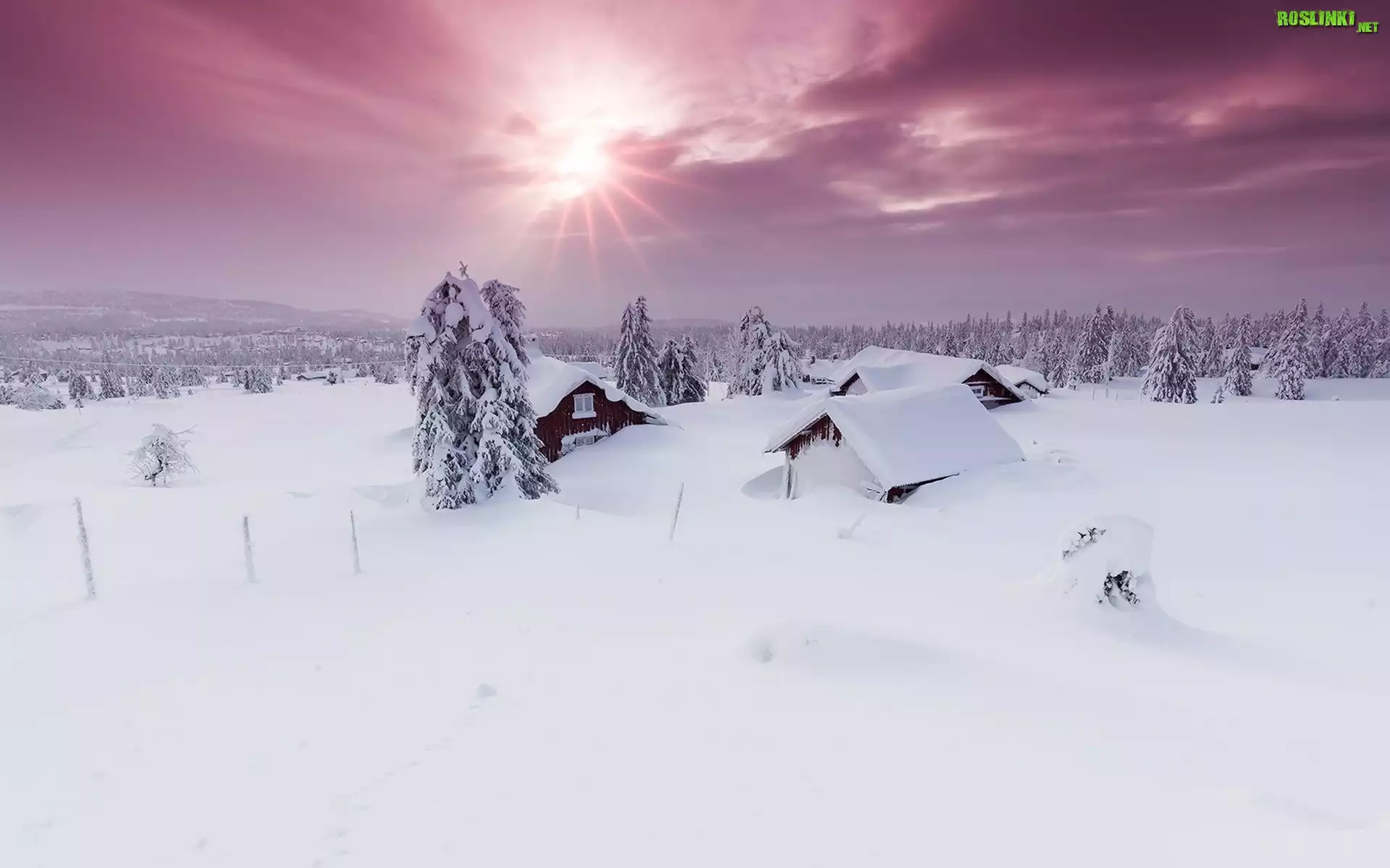 Norwegia, Okręg Oppland, Gmina Lillehammer, Zima, Drzewa, Promienie słońca, Zasypane, Domy