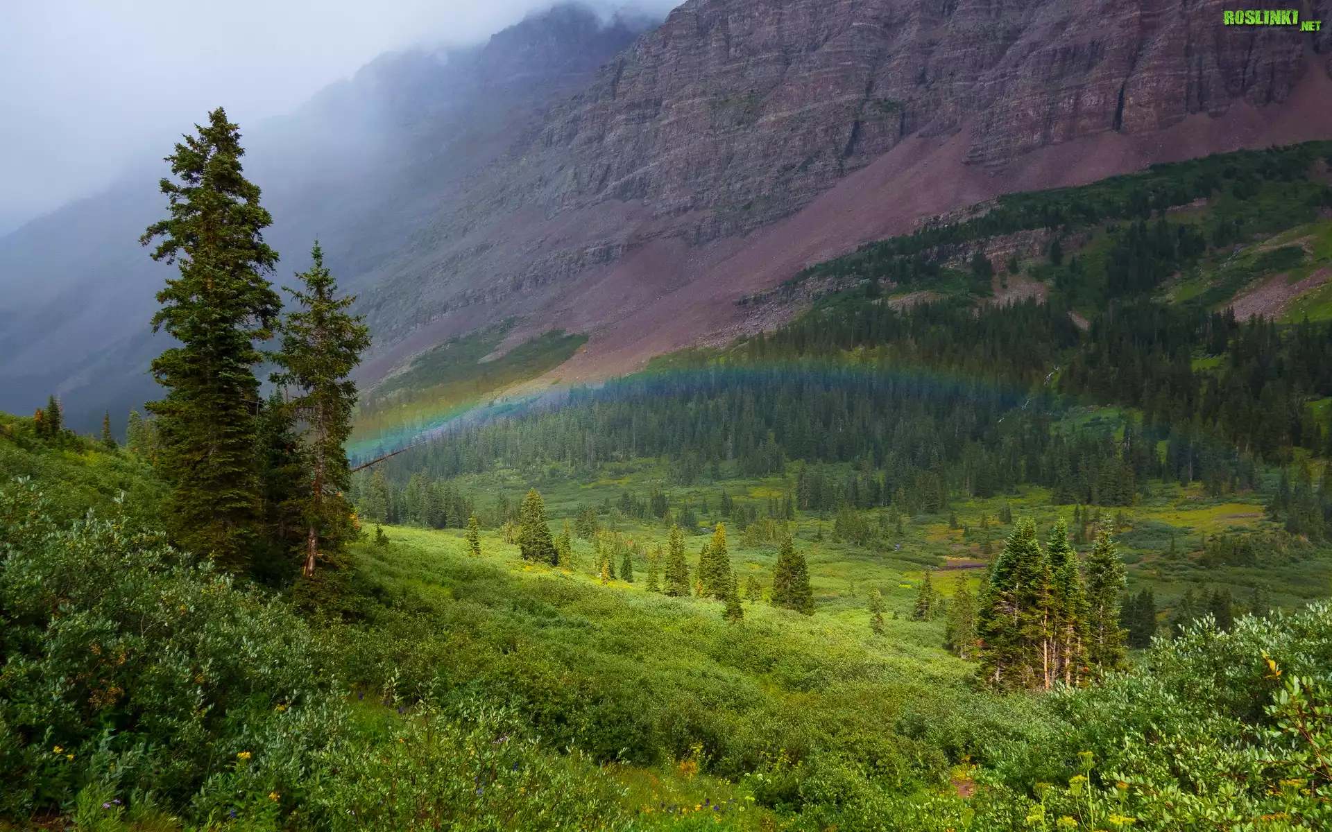 Góra, Maroon Bells, Wzgórza, Drzewa, Krzewy, Tęcza, Kolorado, Stany Zjednoczone