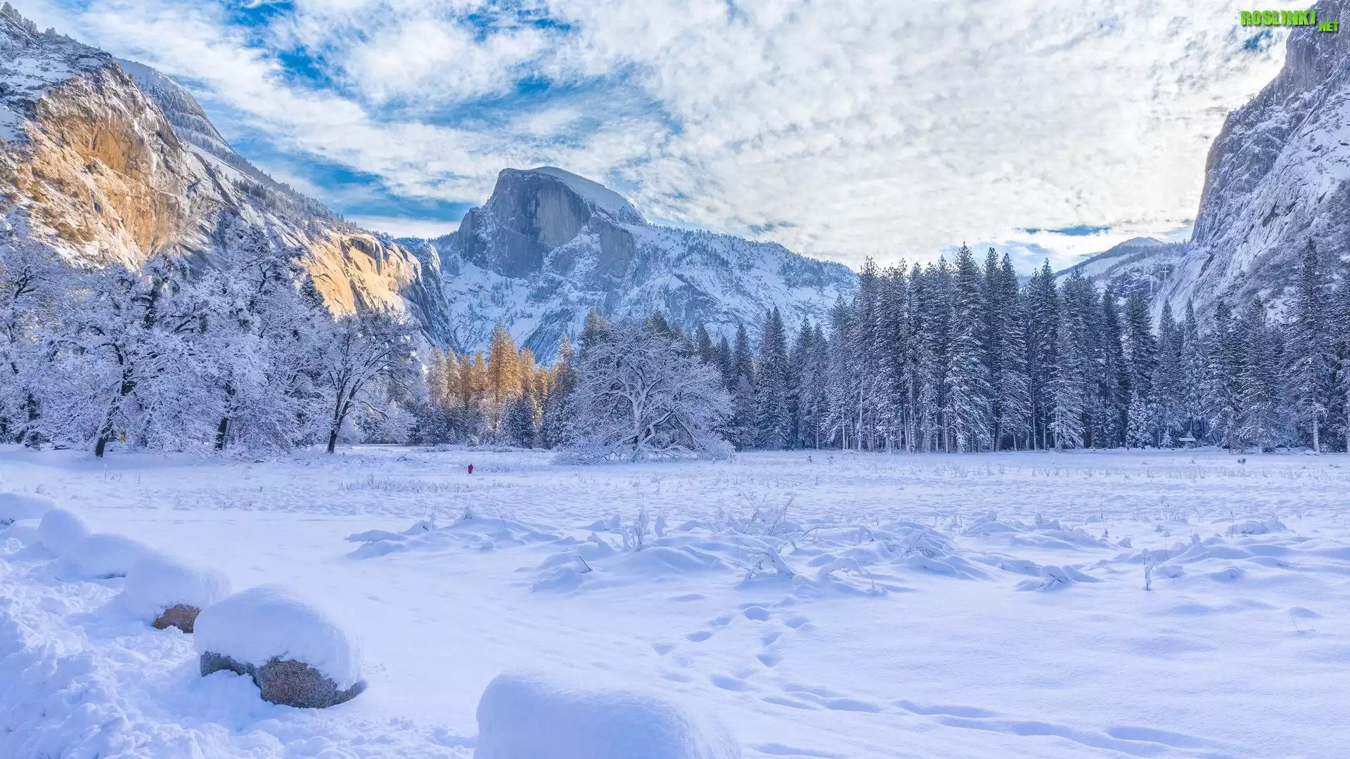 Zima, Park Narodowy Yosemite, Drzewa, Góry, Chmury, Kalifornia, Stany Zjednoczone