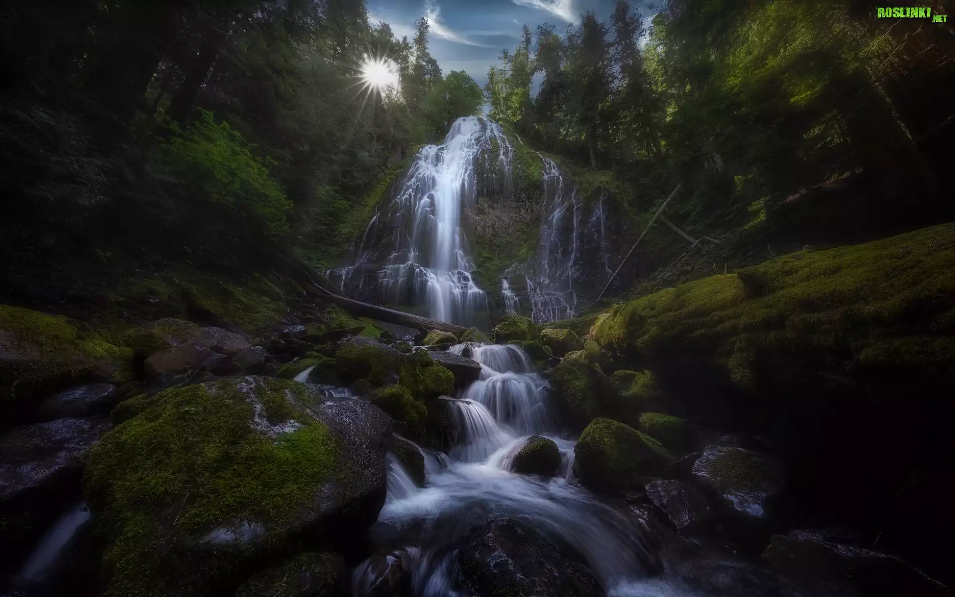 Stany Zjednoczone, Stan Oregon, Willamette National Forest, Pasmo górskie Cascade Range, Góra North Sister, Wodospad Proxy Falls, Omszałe, Kamienie, Skała, Drzewa, Promienie słońca